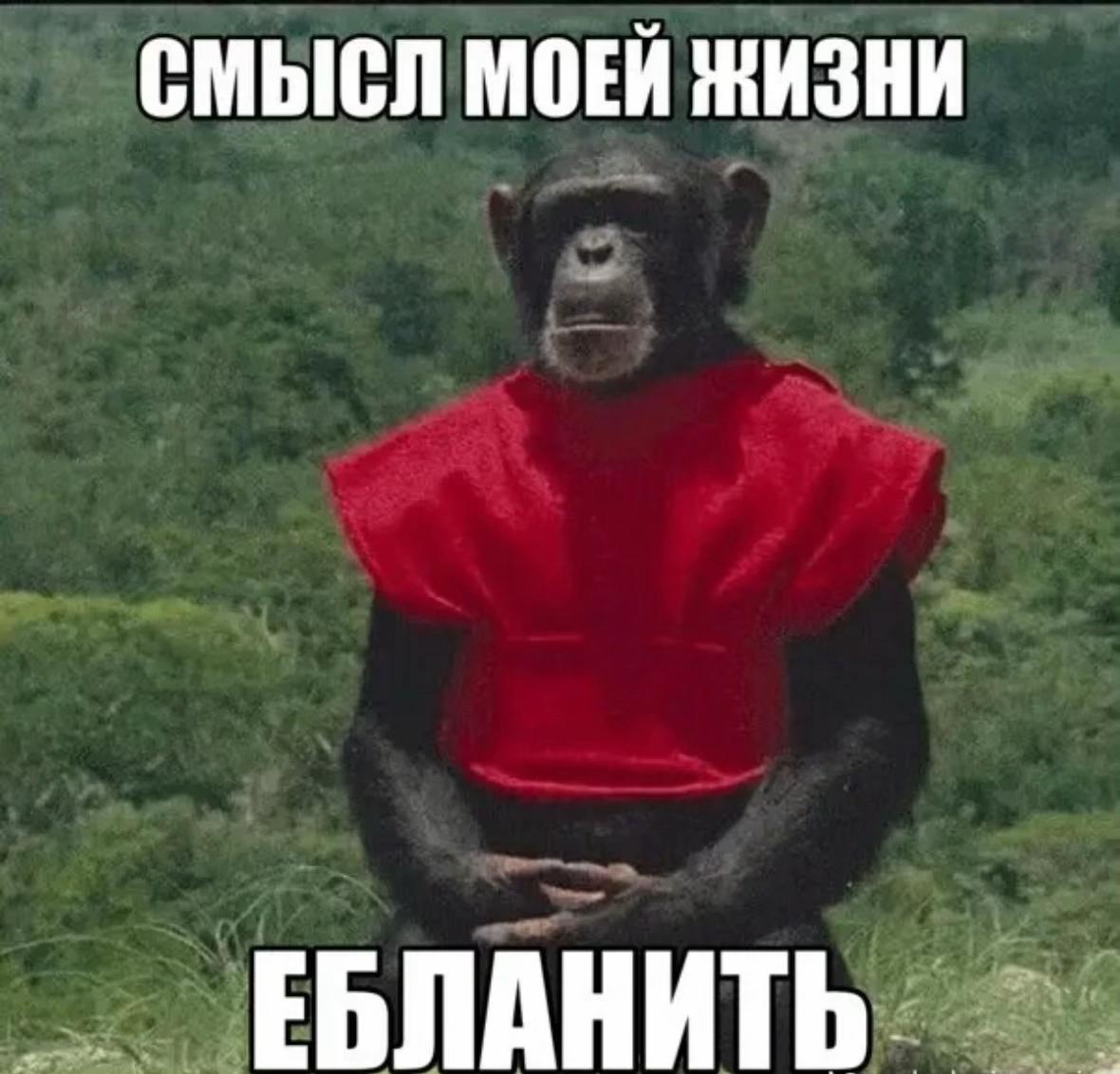@pudelidze