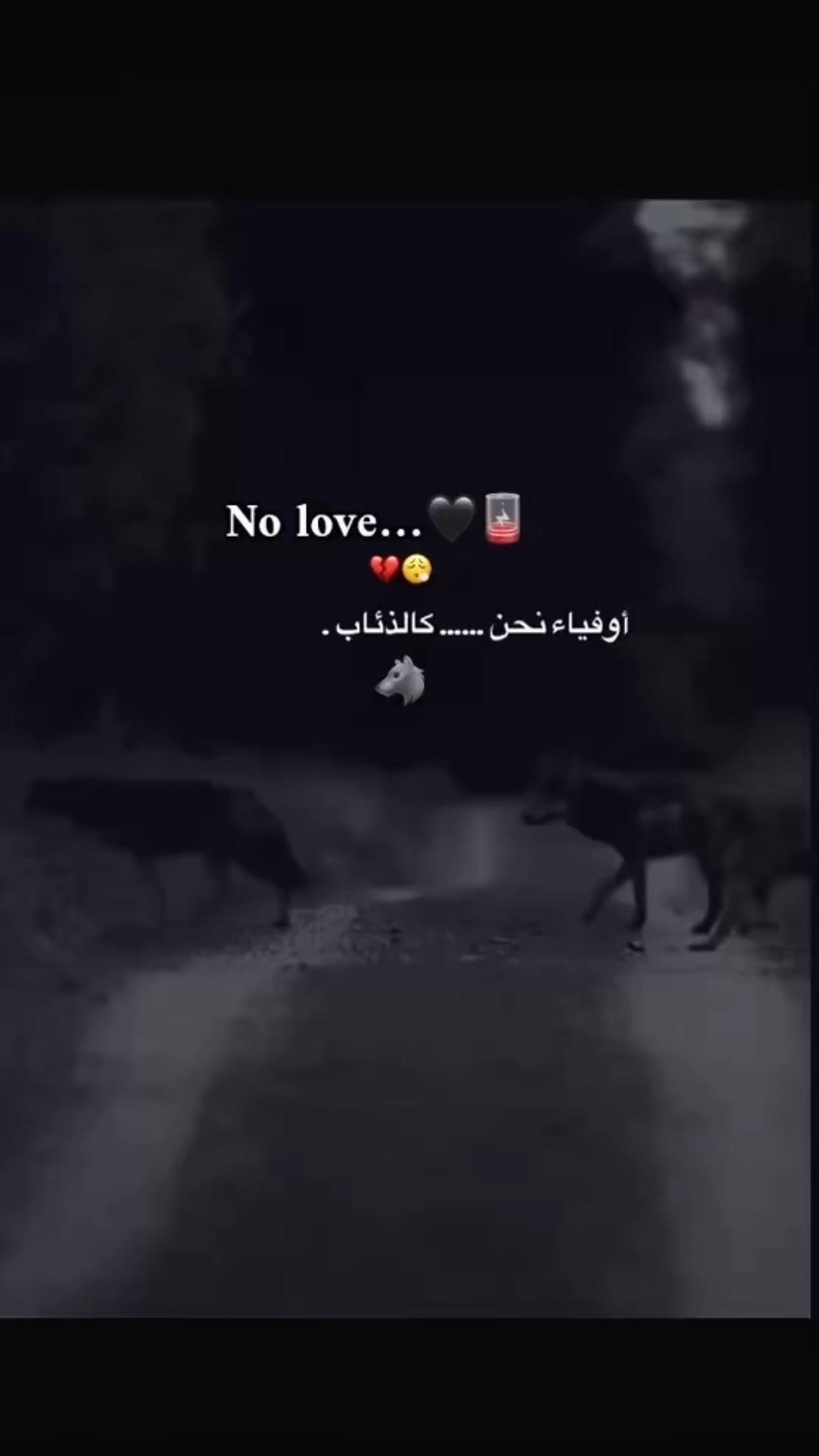 @𓆩Mido_20𓆪