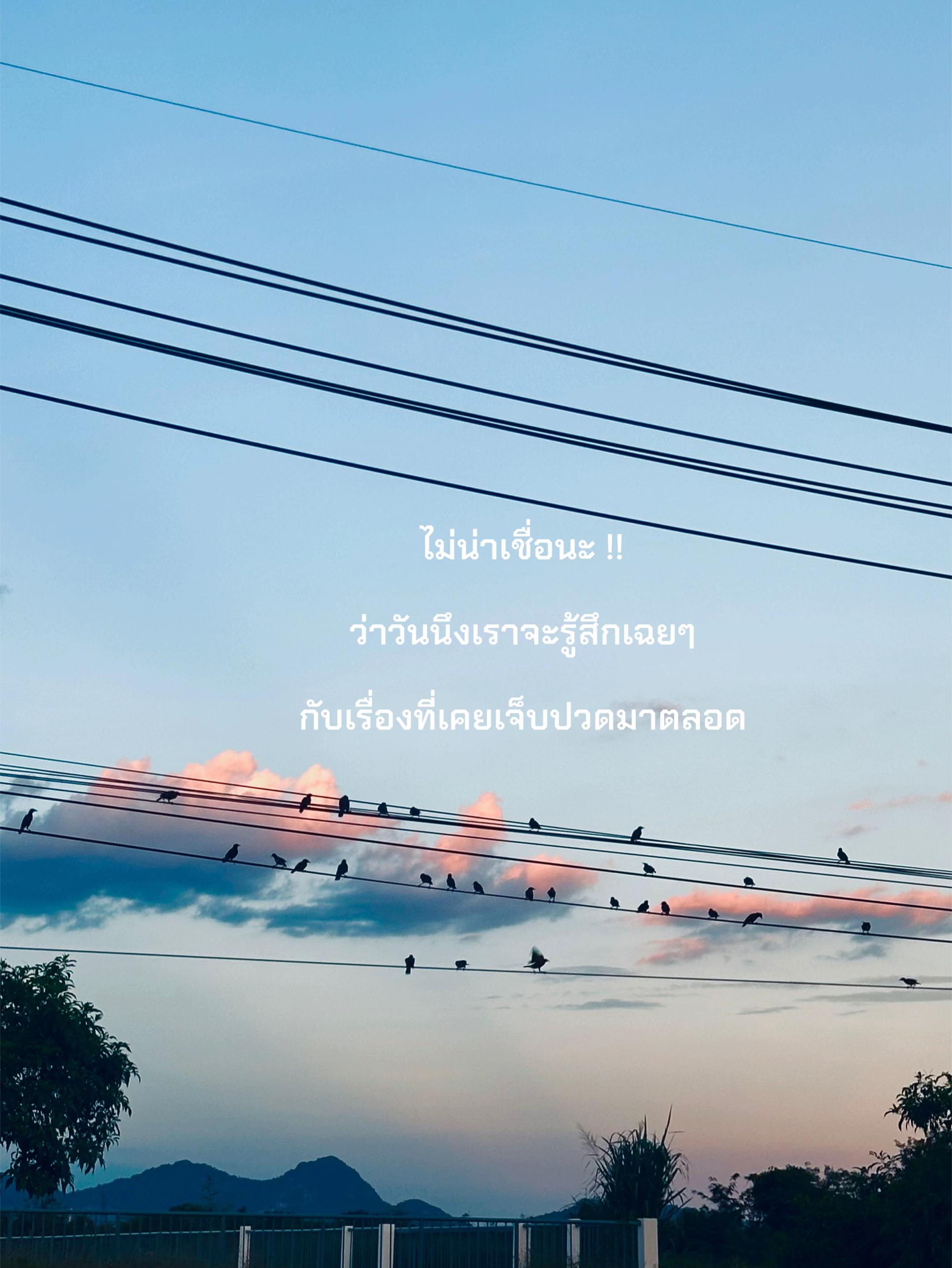 @น้ำอ้อยหวานเจี๊ยบ🍯