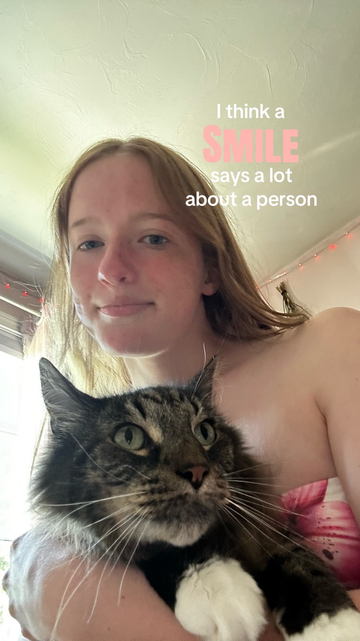 @Ayla