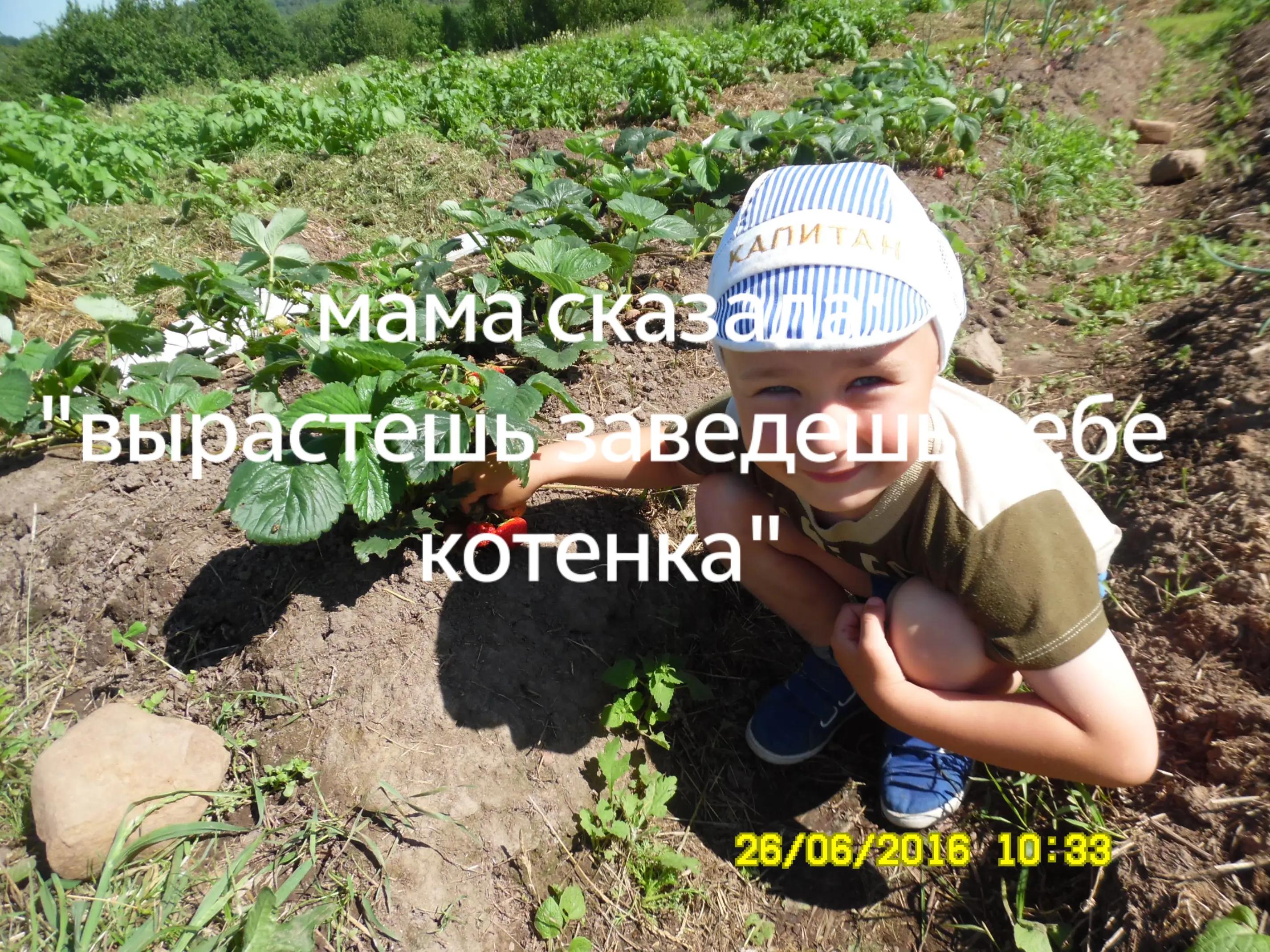 @трекмастер читак