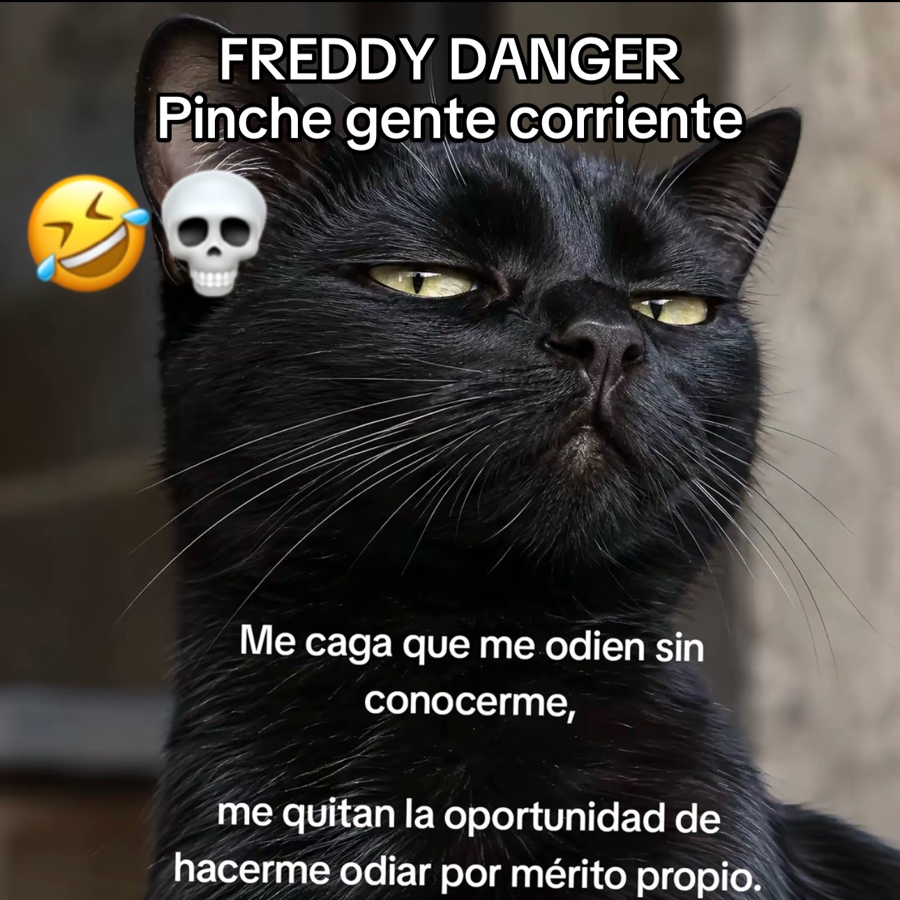 @freddy Danger