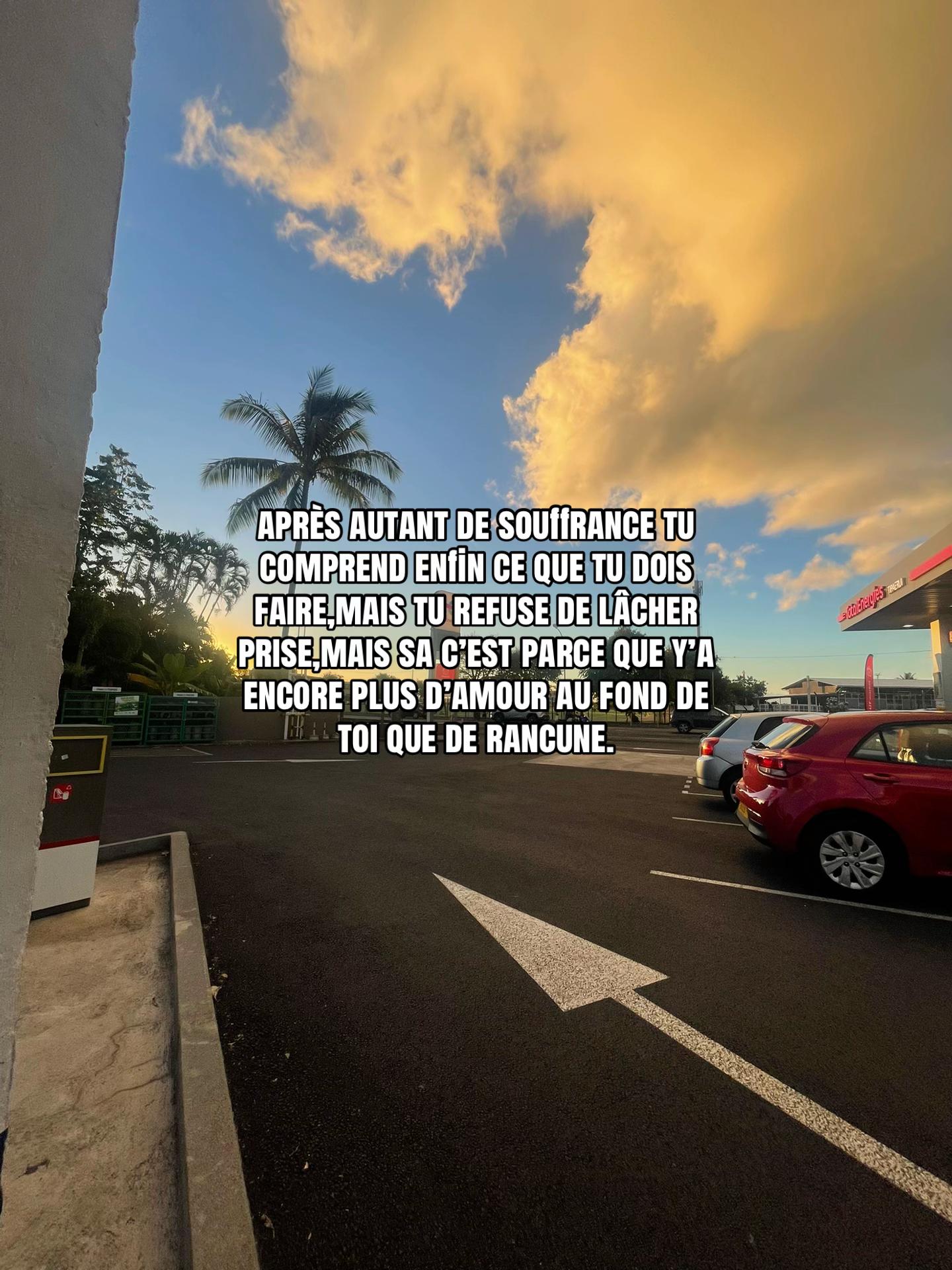 @FLORES🩸