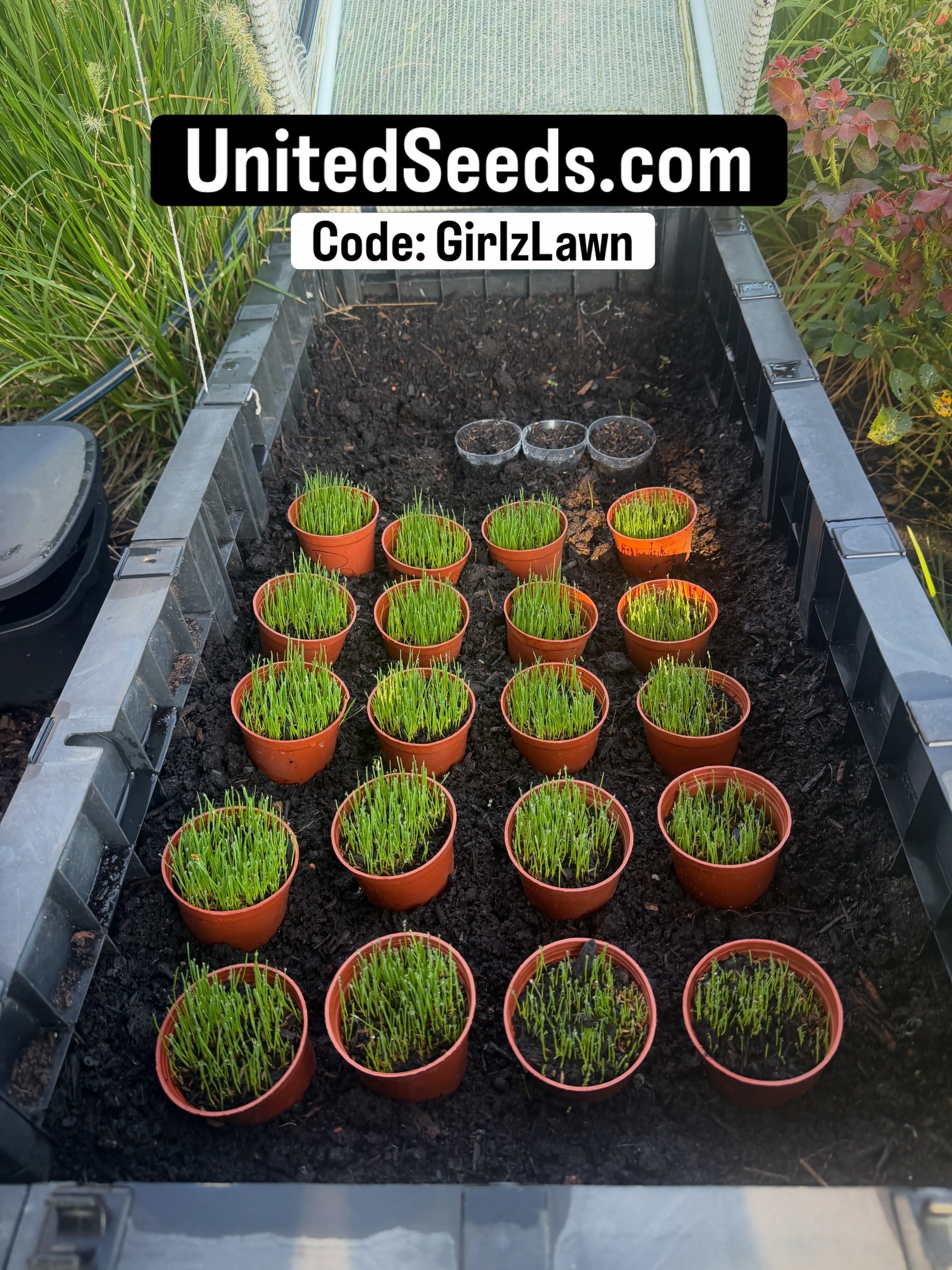 @Girlzlawn