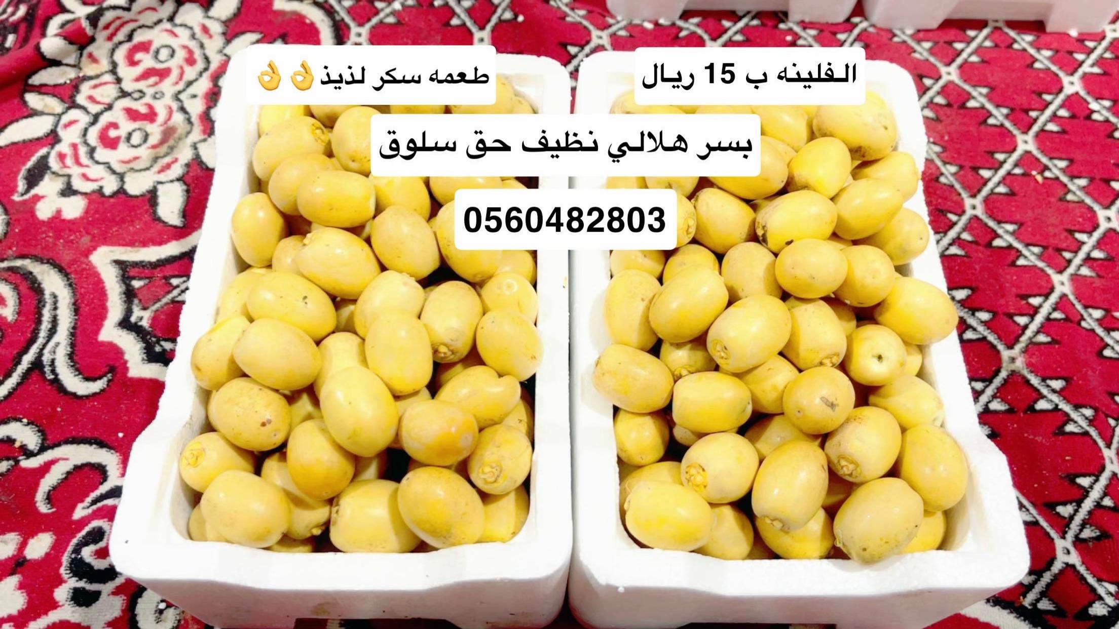 @ashkaltbiah