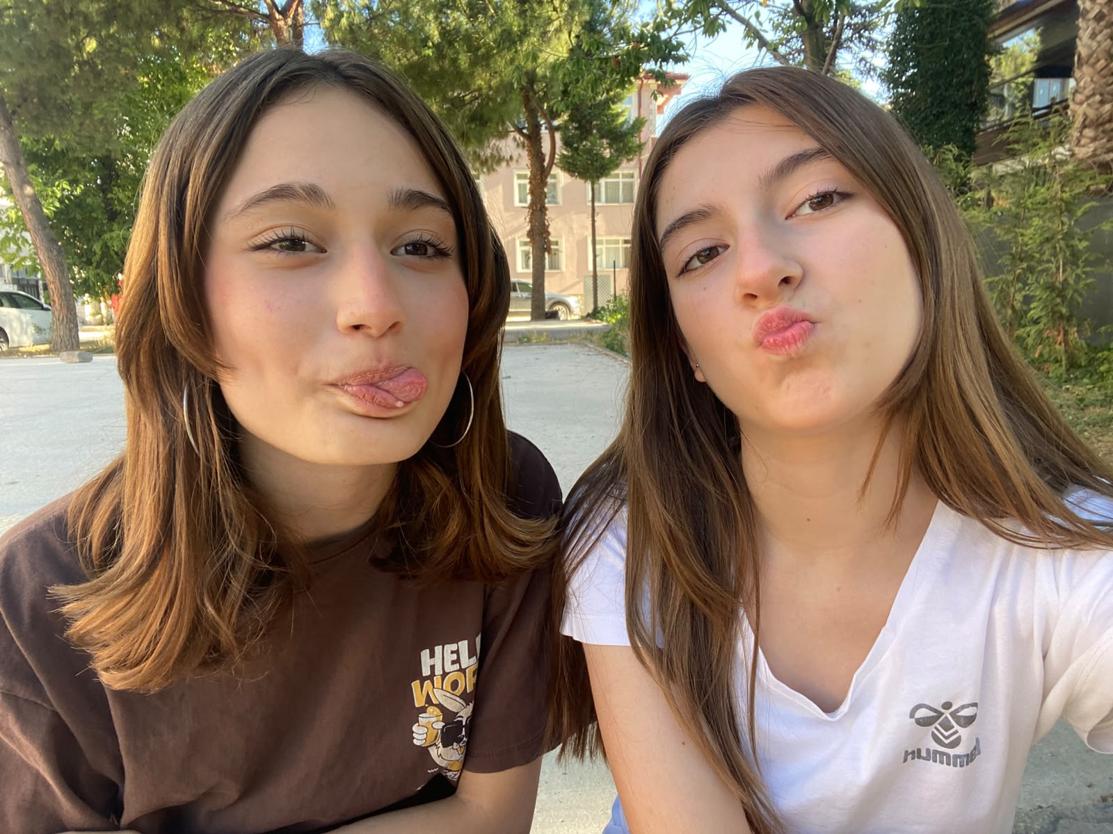 @ll.edawws54