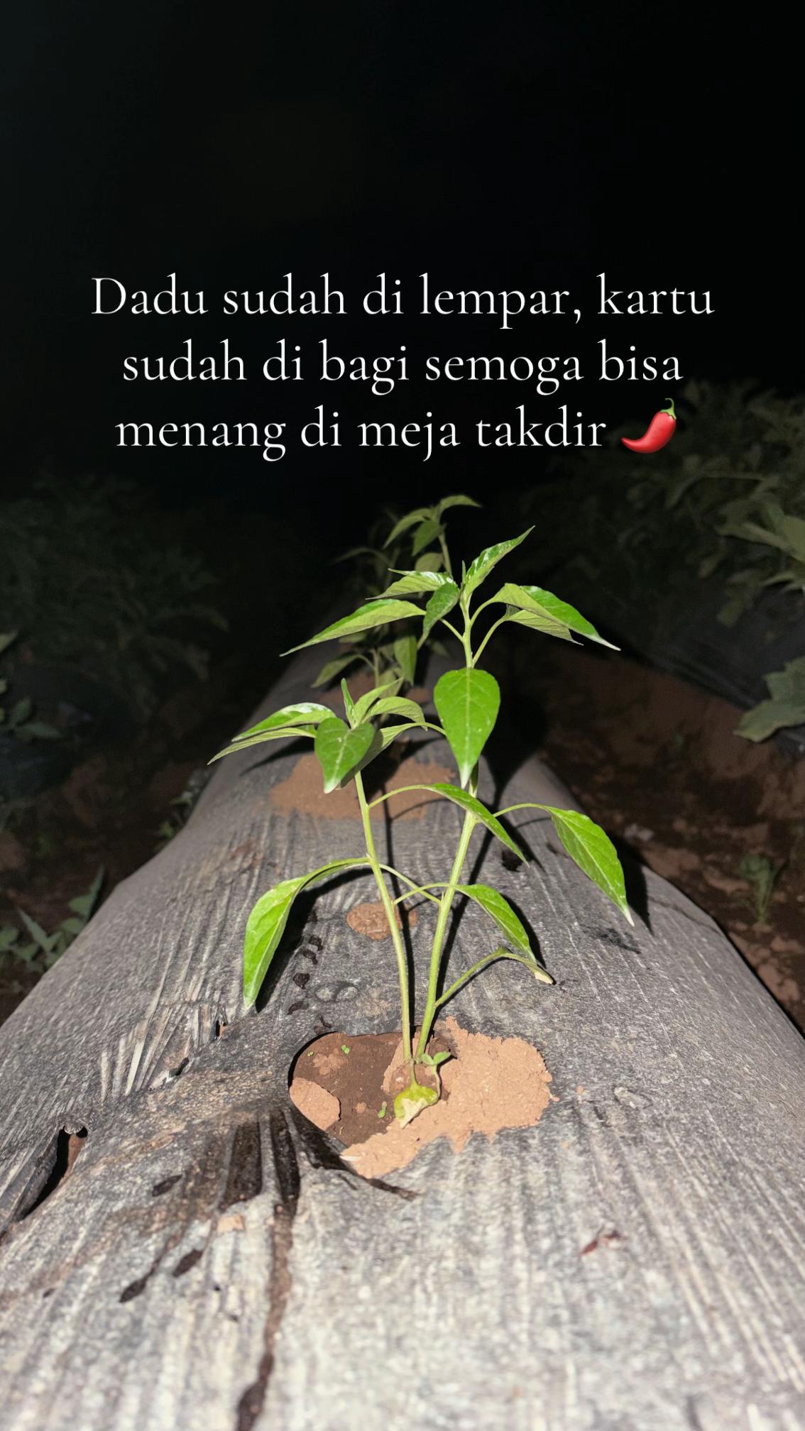 @nanda_setiawan_