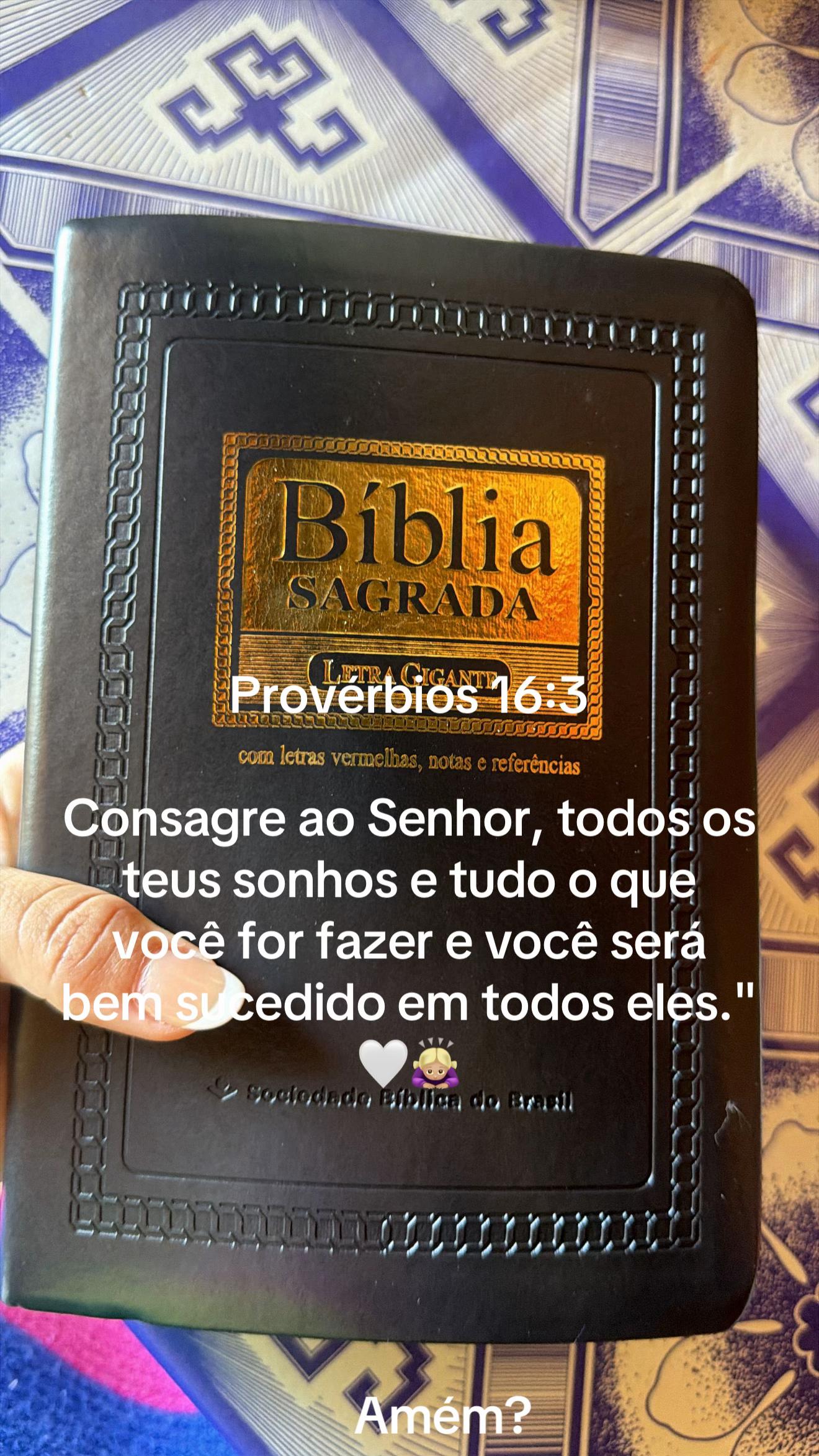 @Loira 🇧🇷🇸🇷