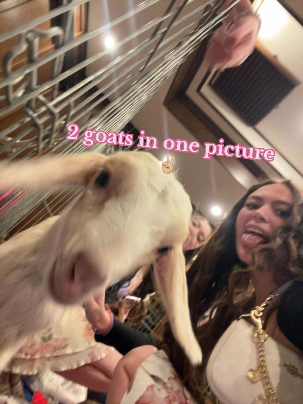 @ayla