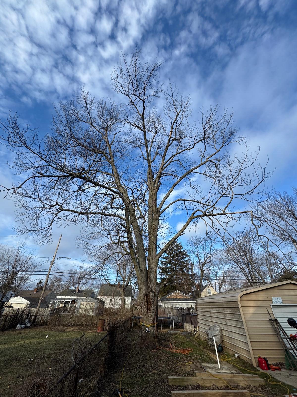 @G&O tree servicess