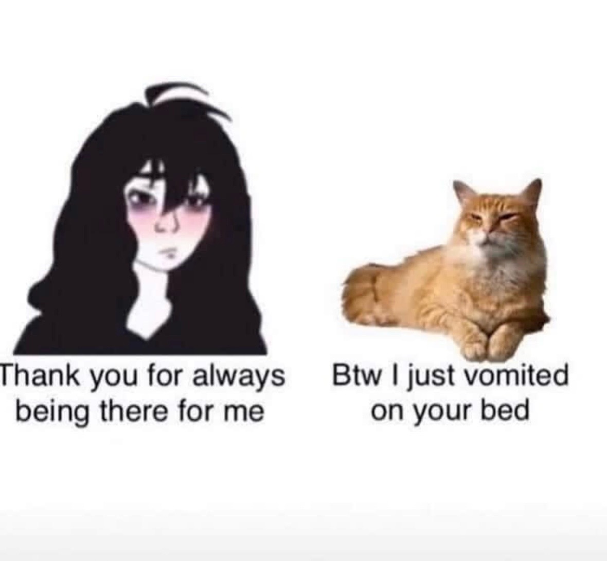@Bratcats