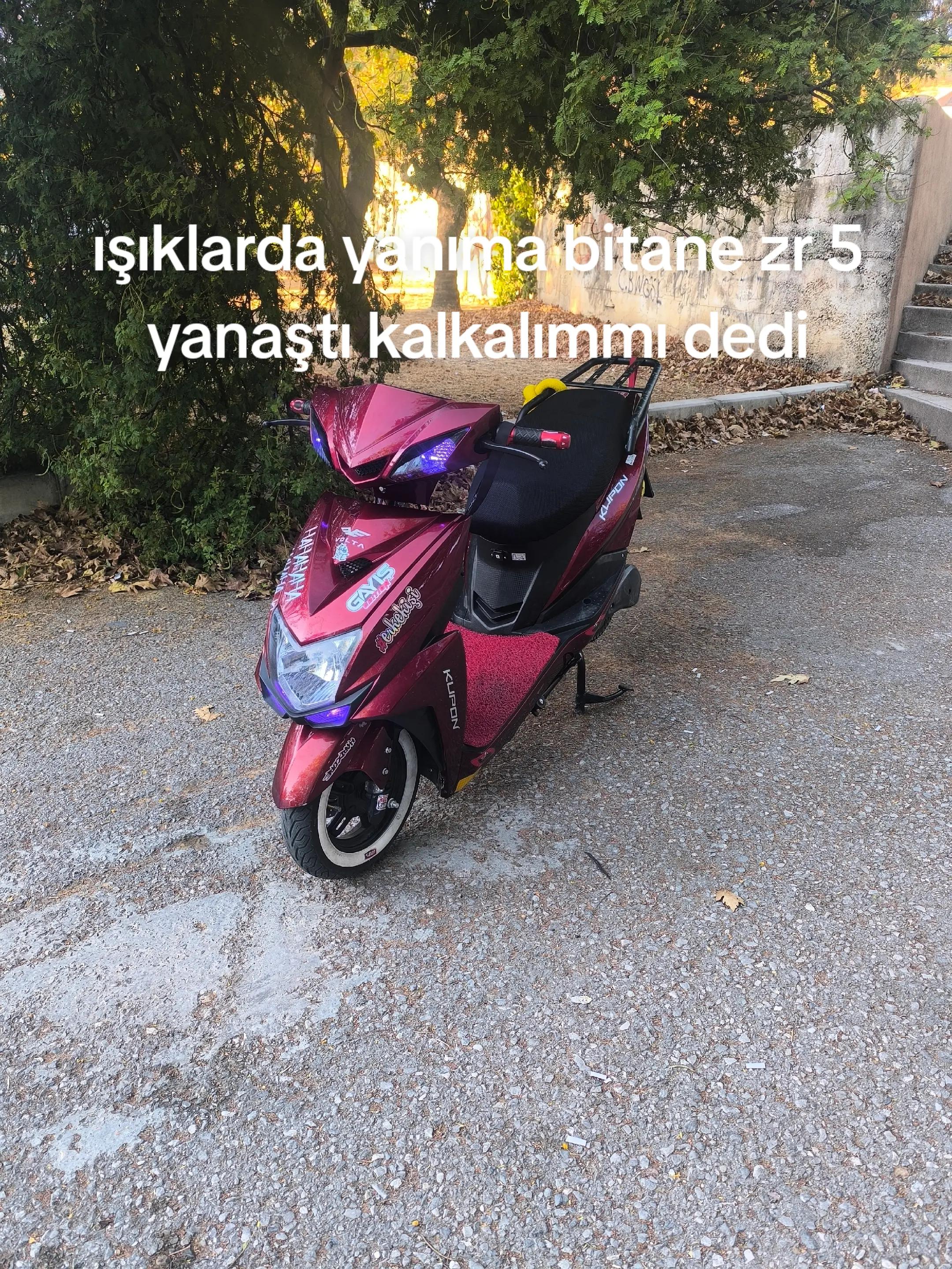 @selim sarıyiğit