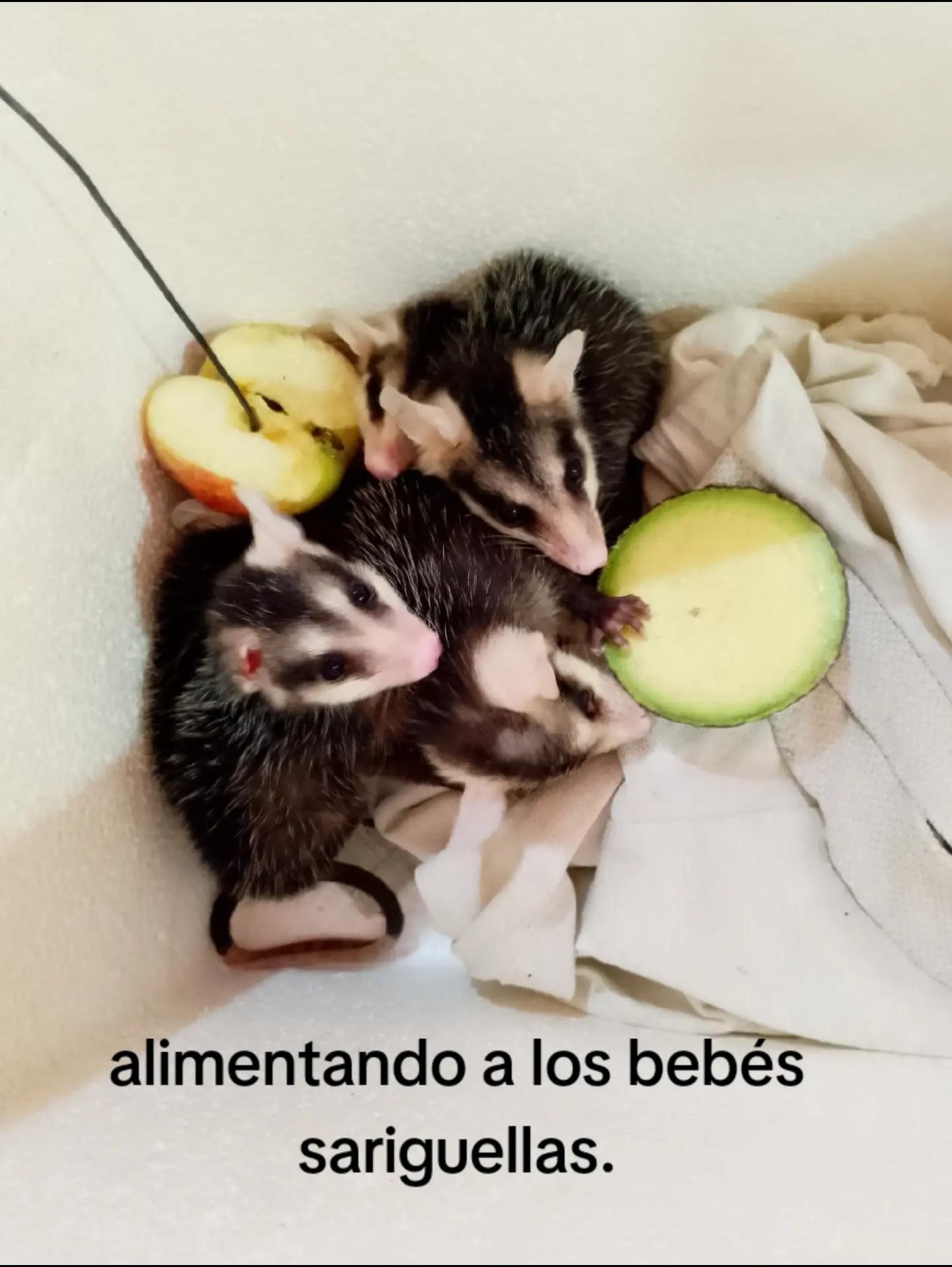 @Daniel Alba