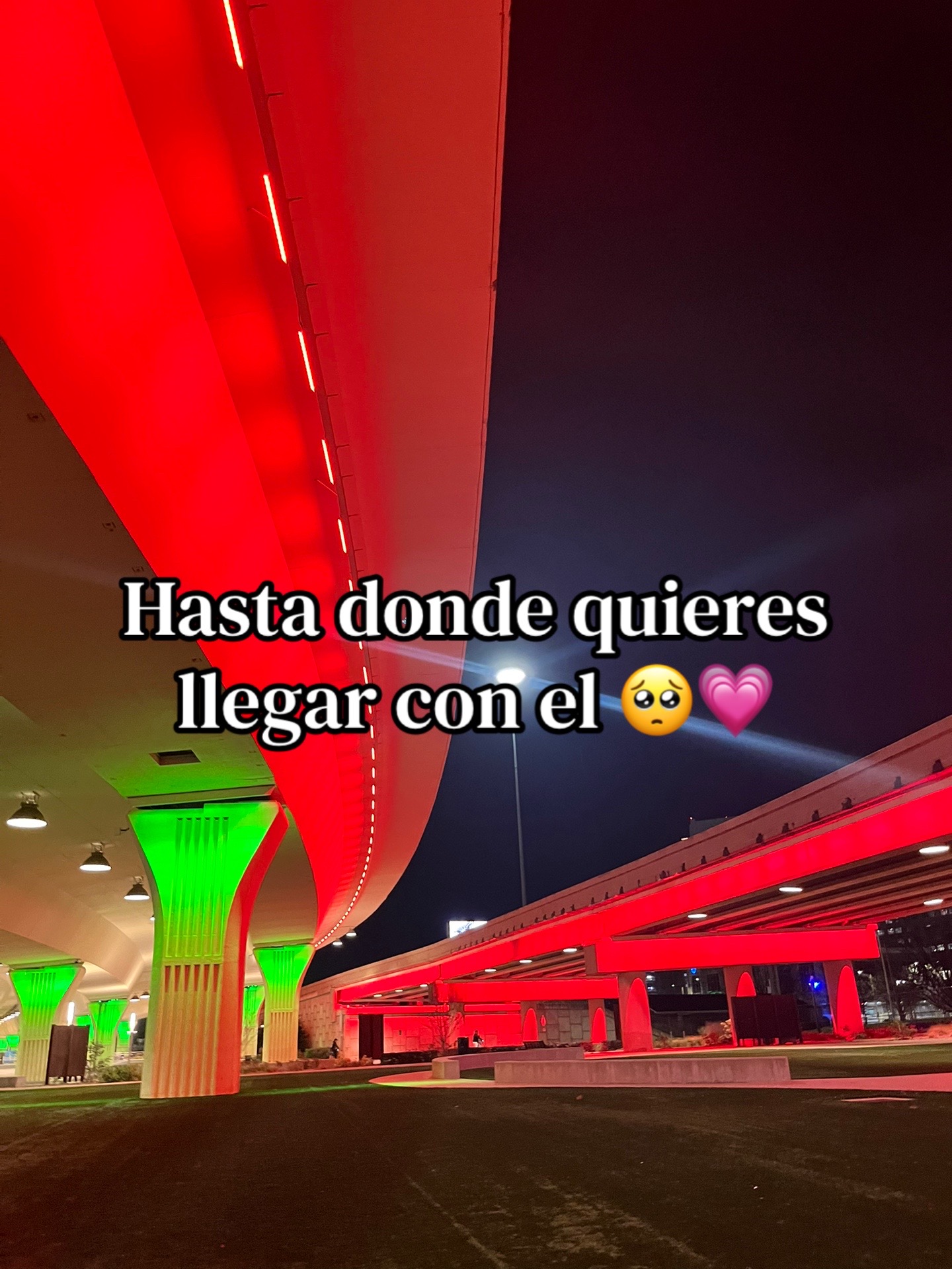 @🐣MaRy🦎
