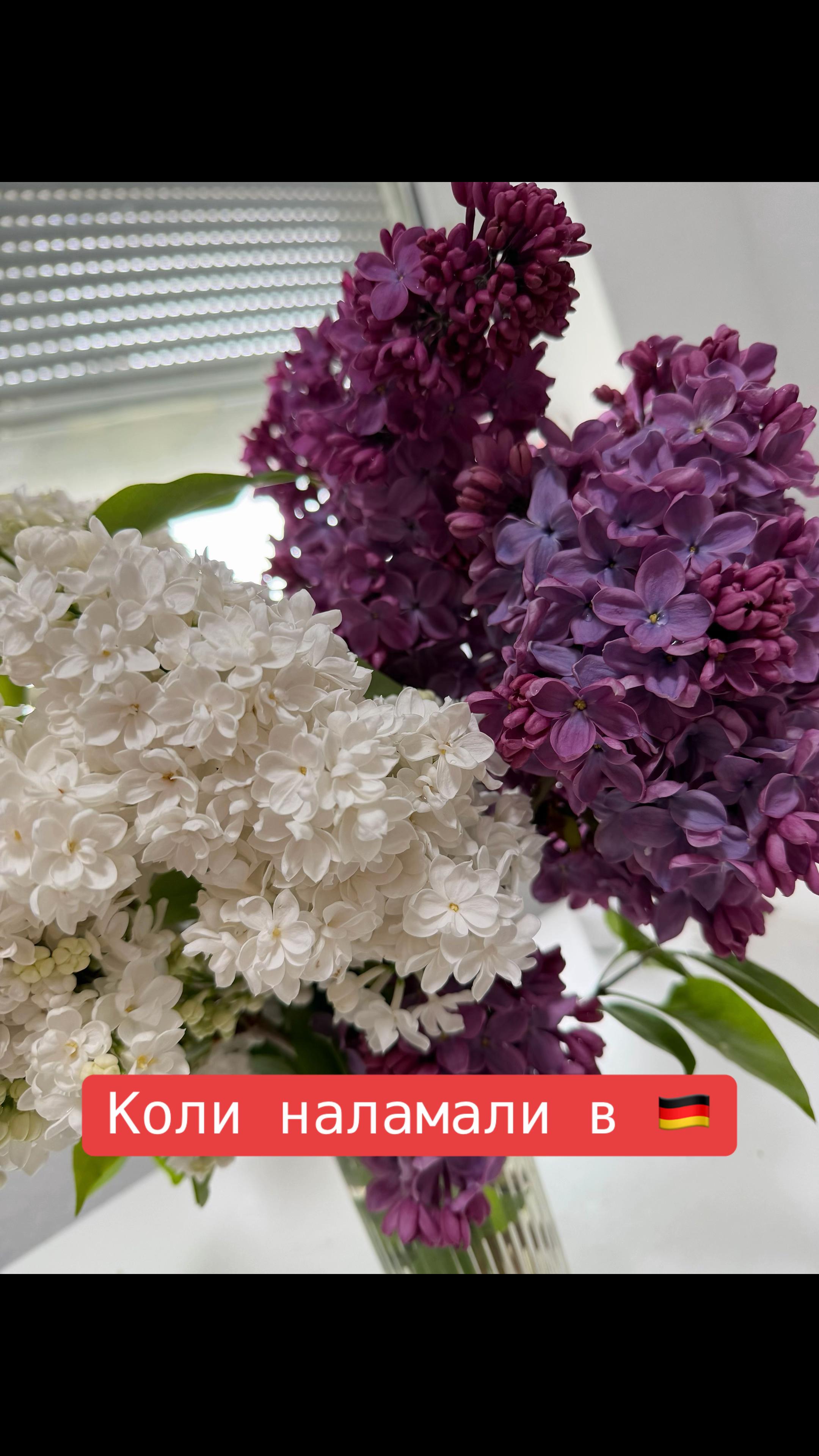 @m_i_l_ash_ka