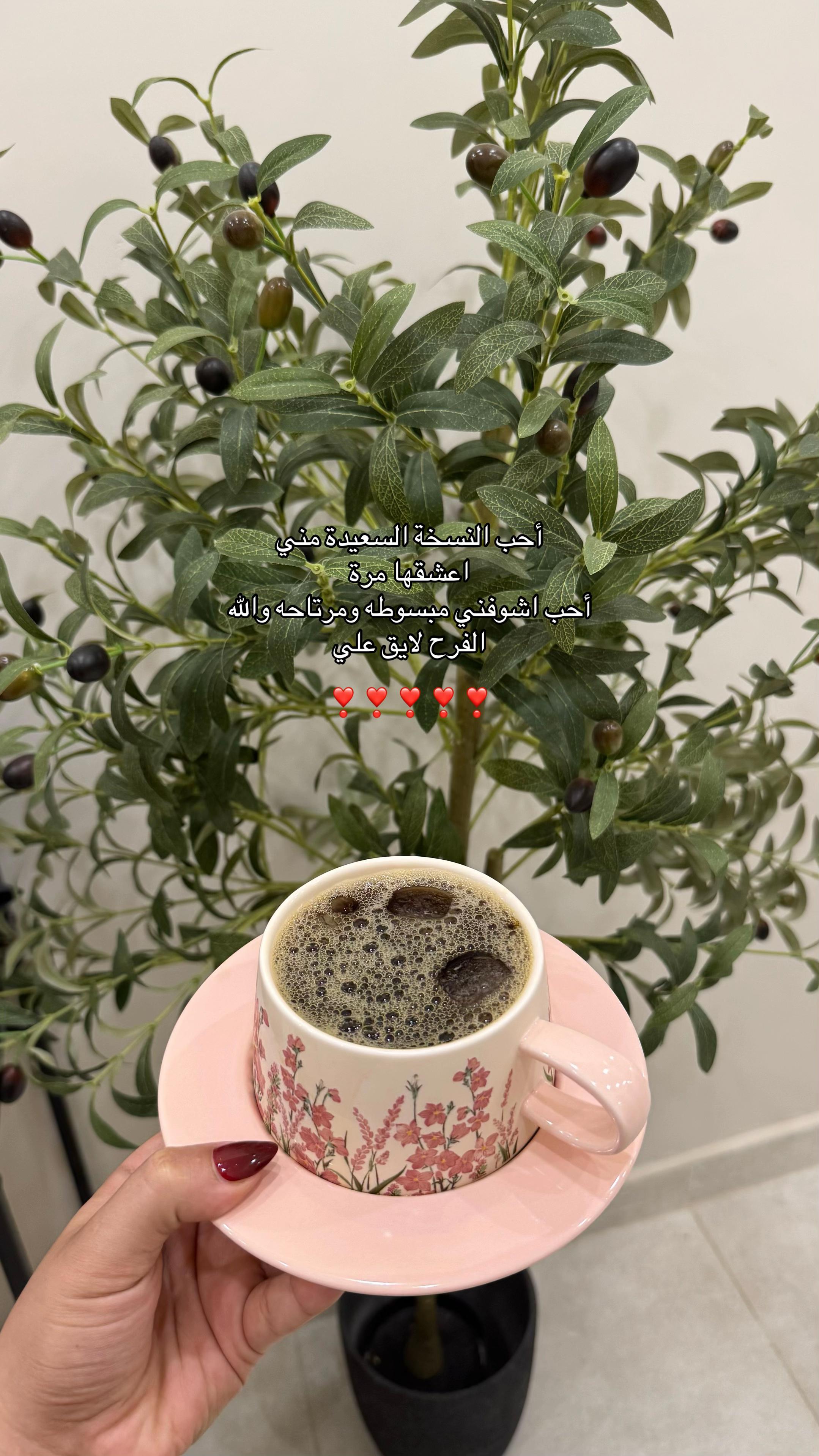 @๐ด ๐ป ๐ฐ ๐ต ๐