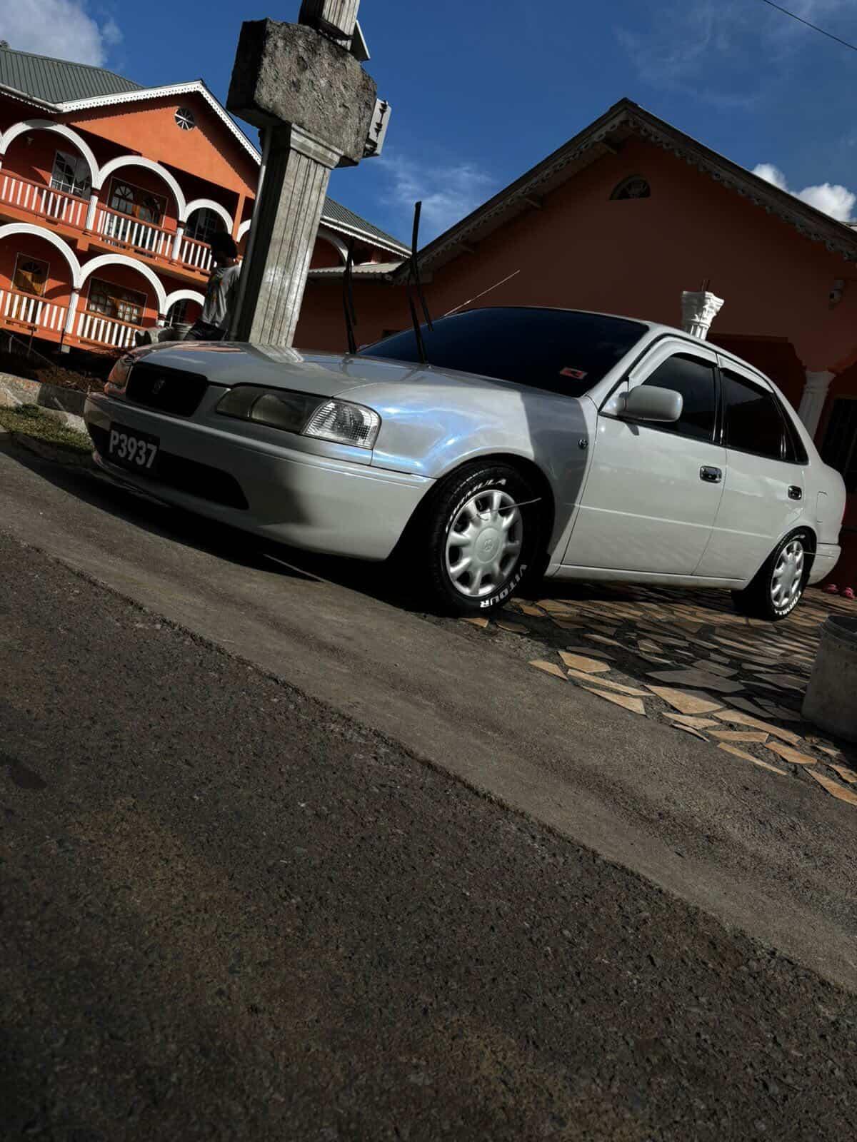 @vincycarculture_