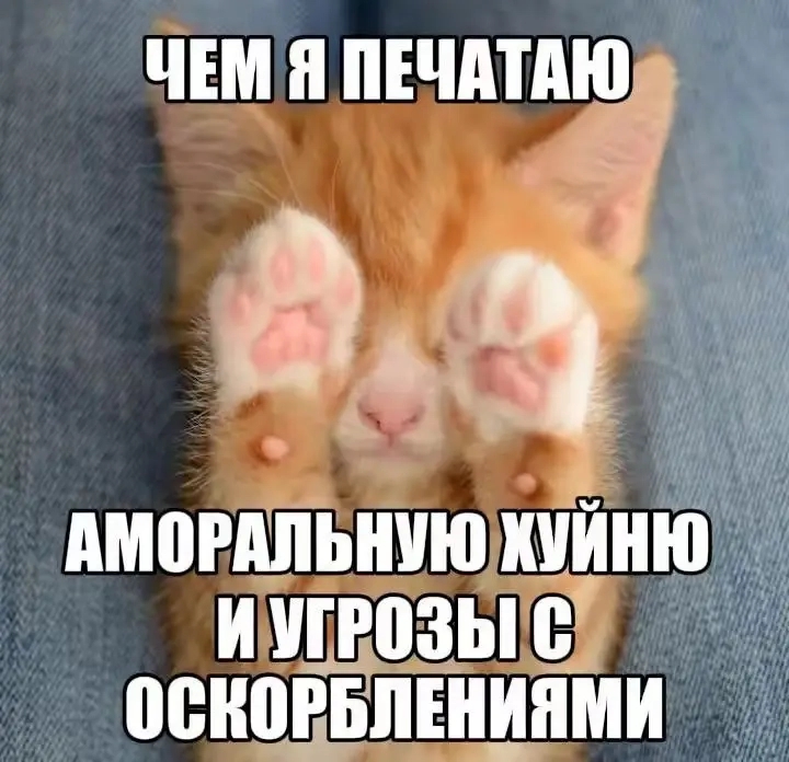 @Mihal1488Kitler