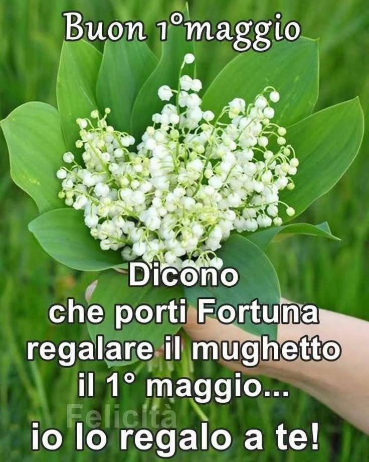 @Antonella