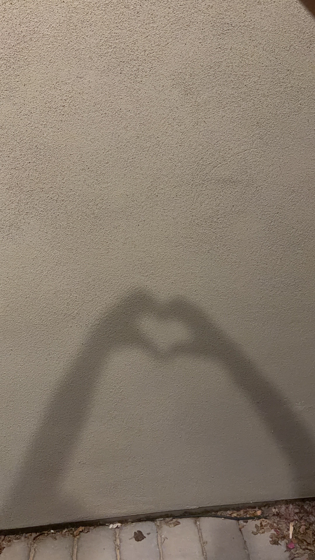 @Lily