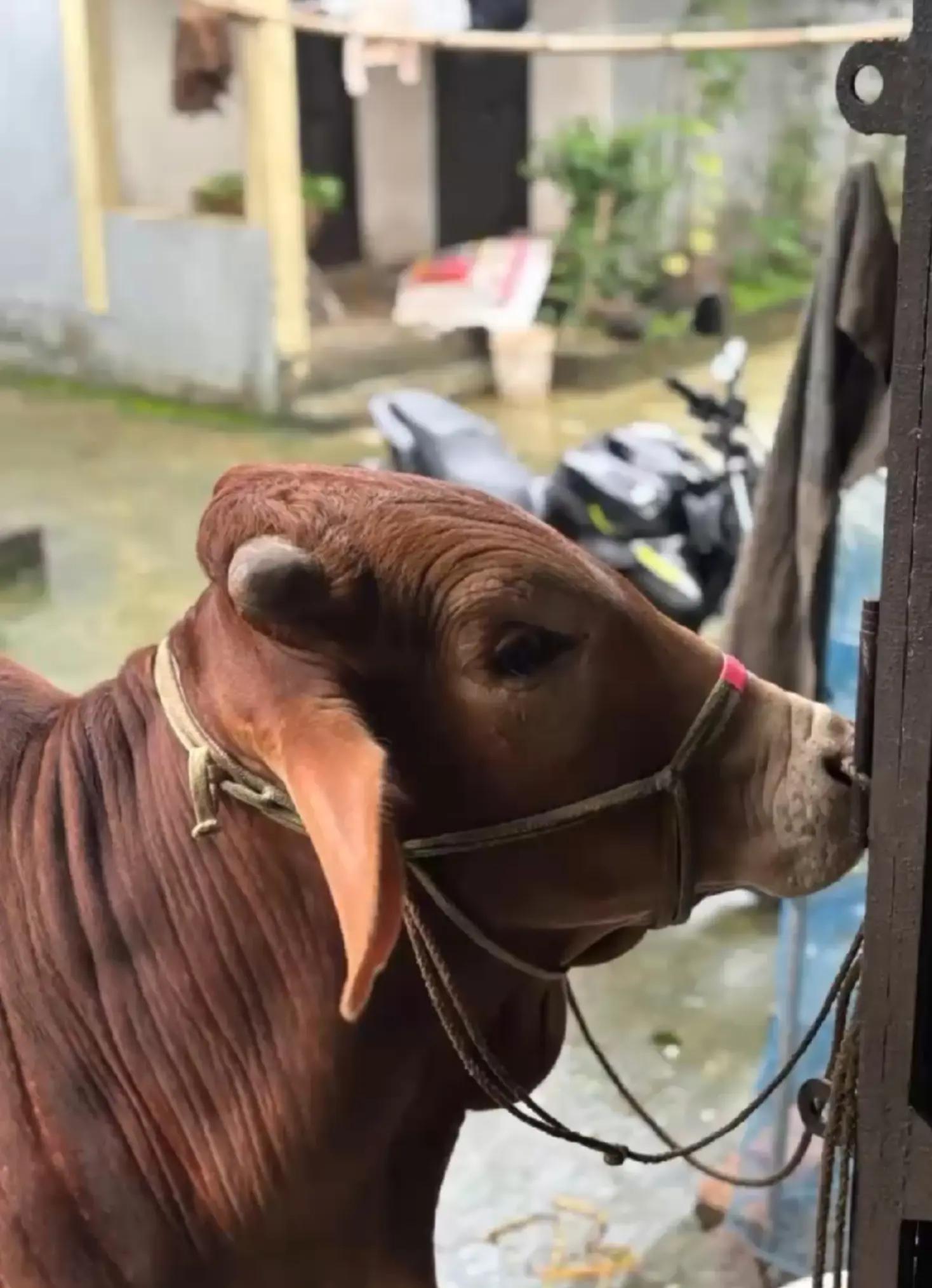@𝑴𝒓.𝑺𝒐𝒖𝒓𝒂𝒗🇧🇩