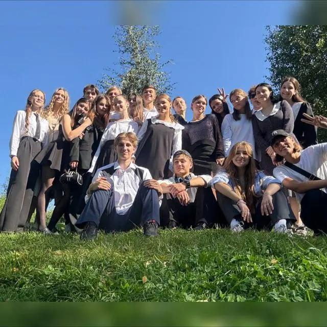 @🌲☀️