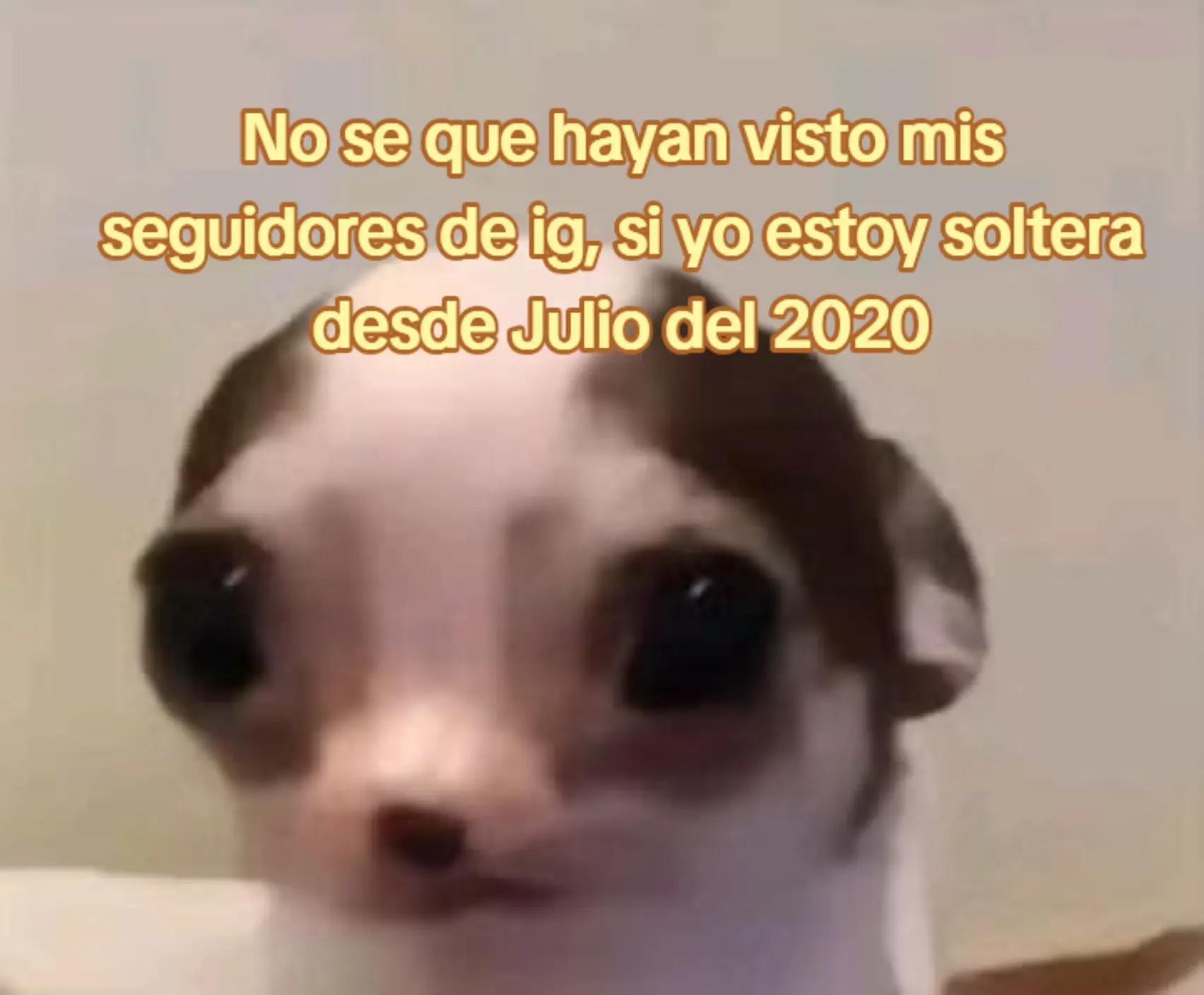 @✨NAN✨