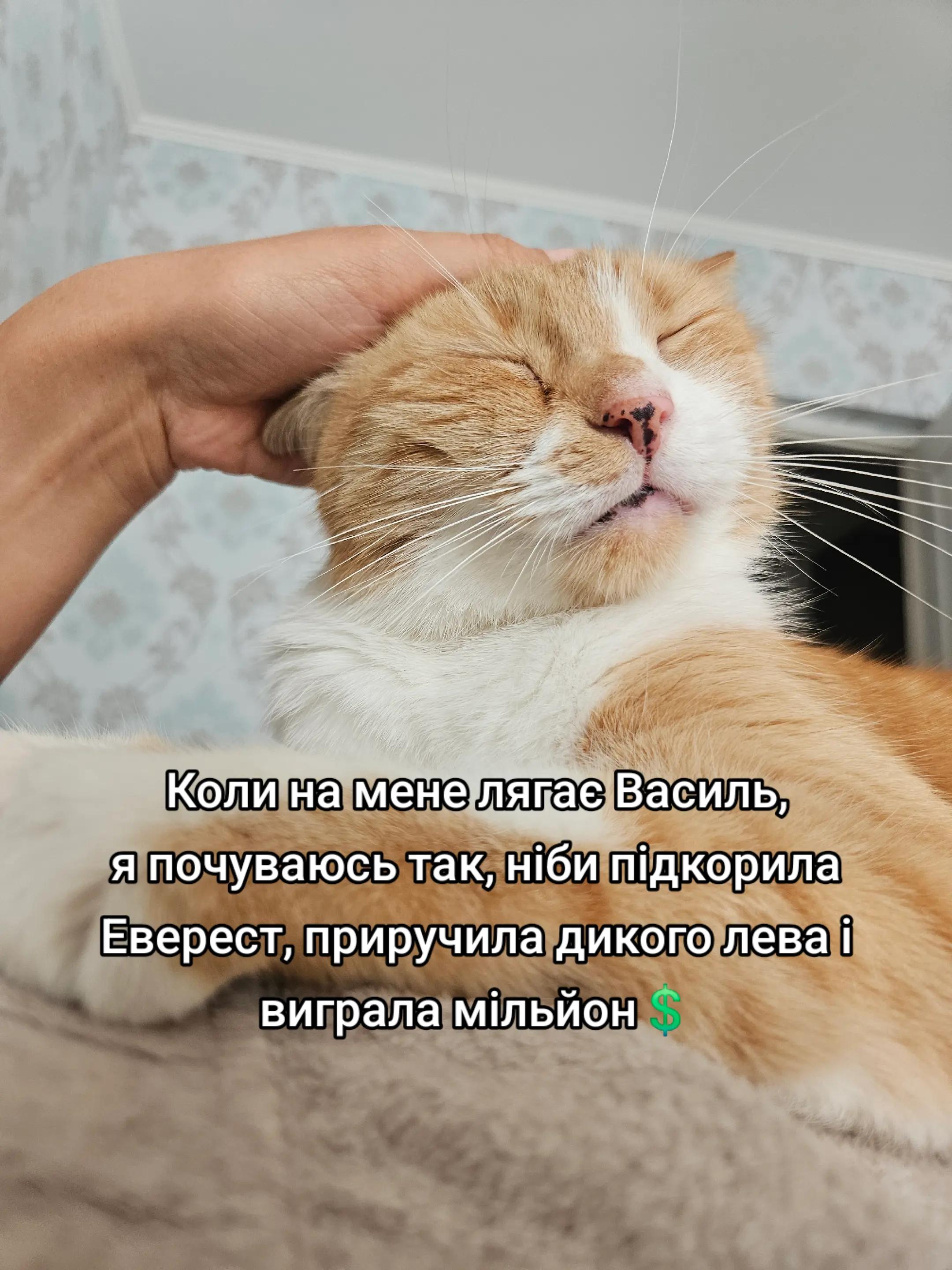 @Vasyl~Havniuk