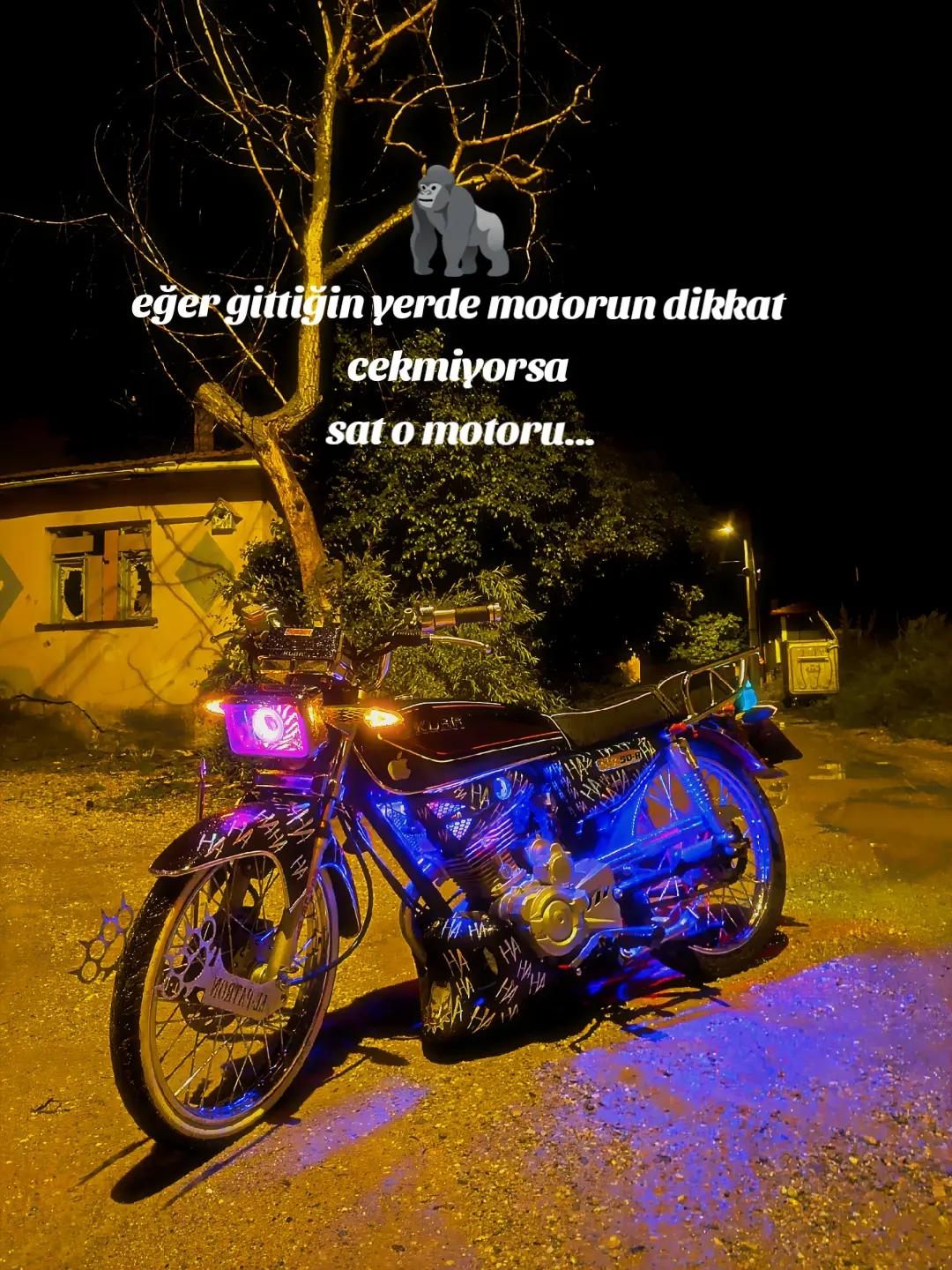 @๐ด๐๐๐๐ ๐๐พ๐๐๐๐ ๐งข