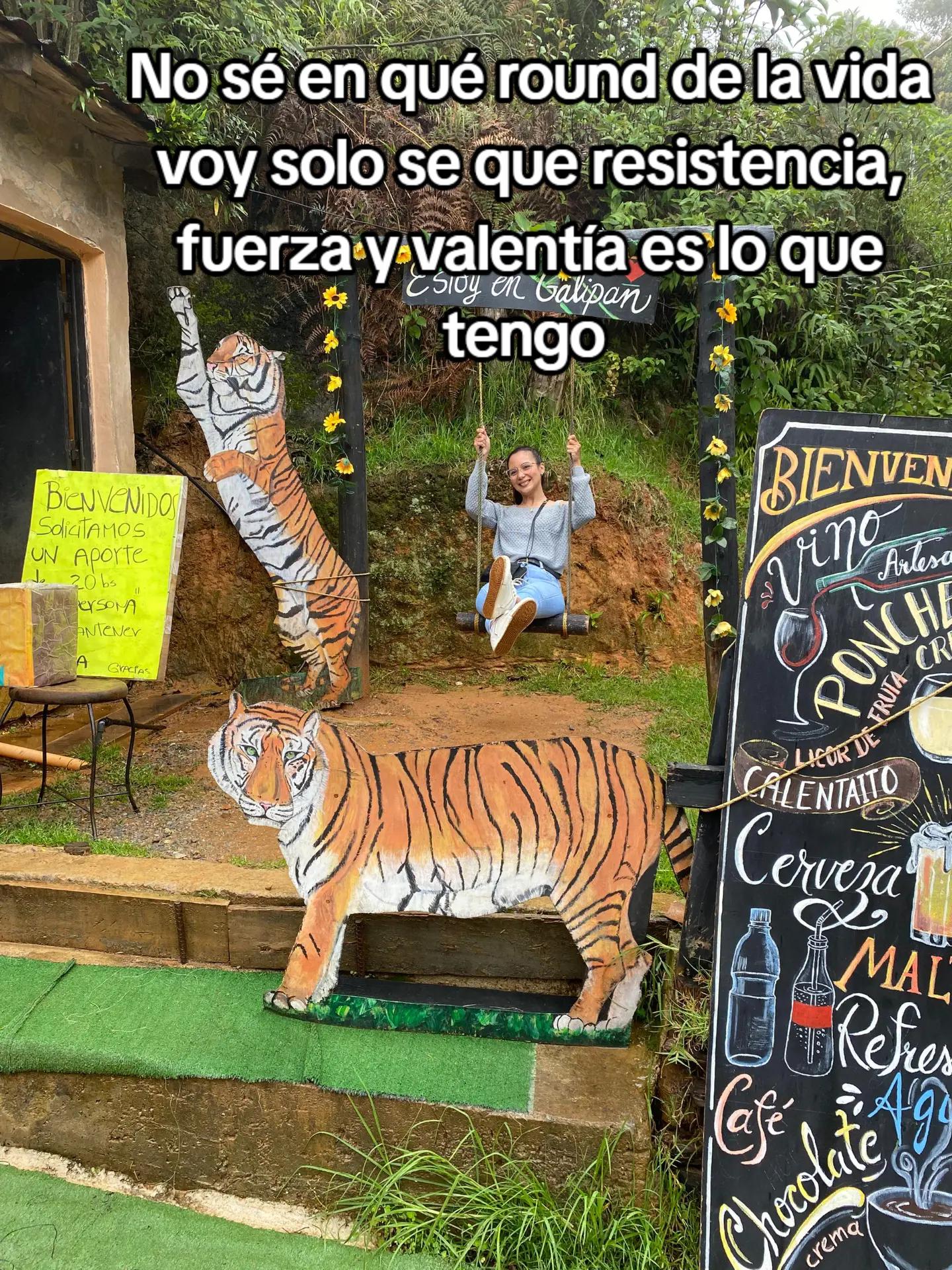 @Sol Correa