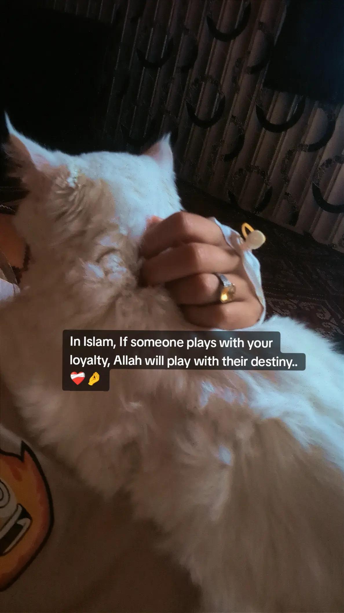 @Nida 𝐅𝐀ت𝐈𝐌𝐀 بلوچ