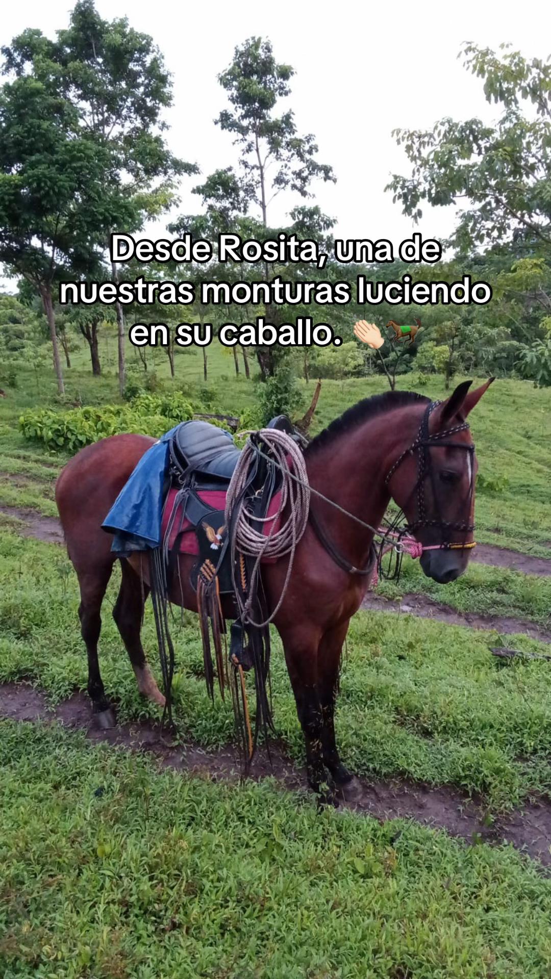 @talabarteriaamador