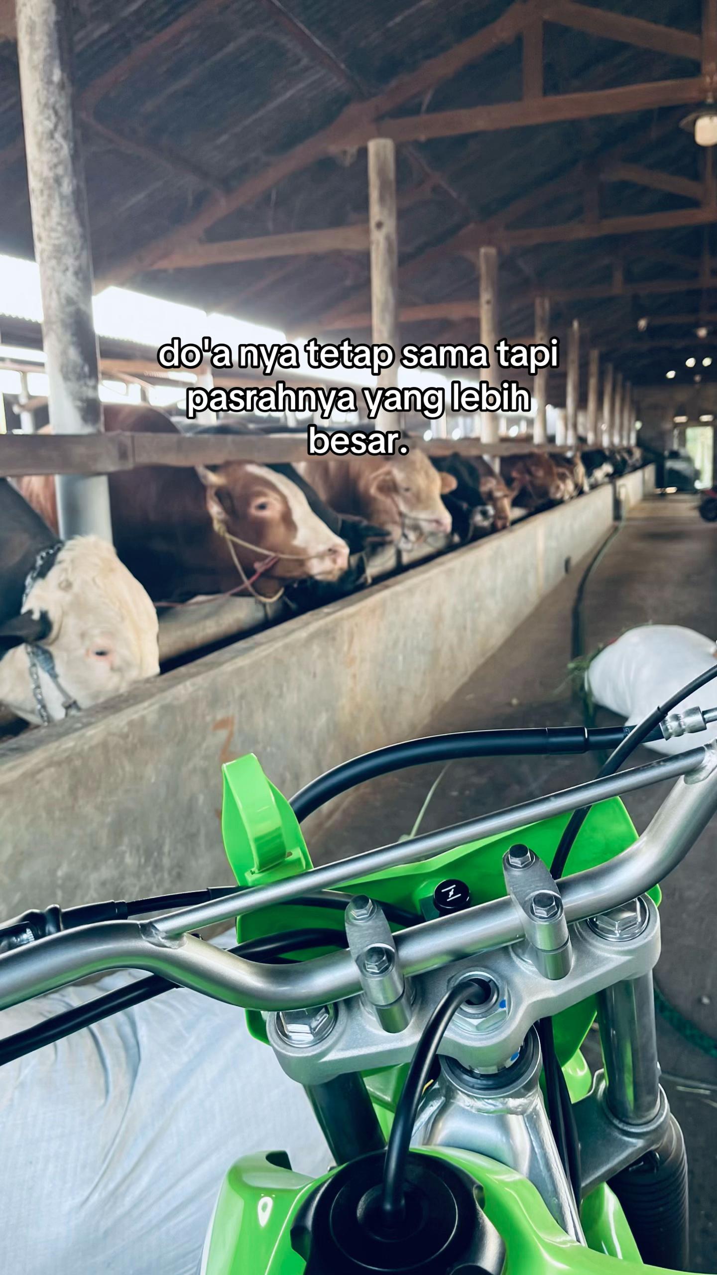 @Wisnu Farm Lampung