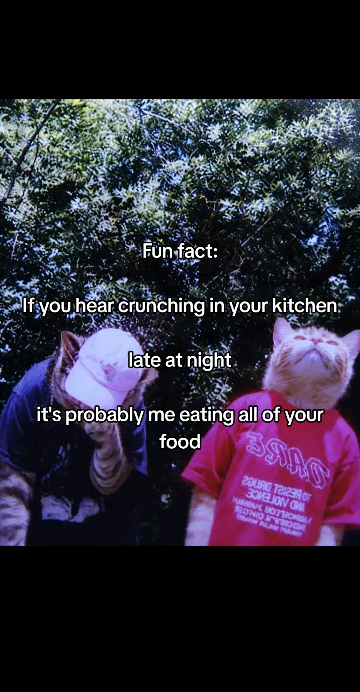 @★𝐜𝐚𝐫𝐯𝐞𝐫★