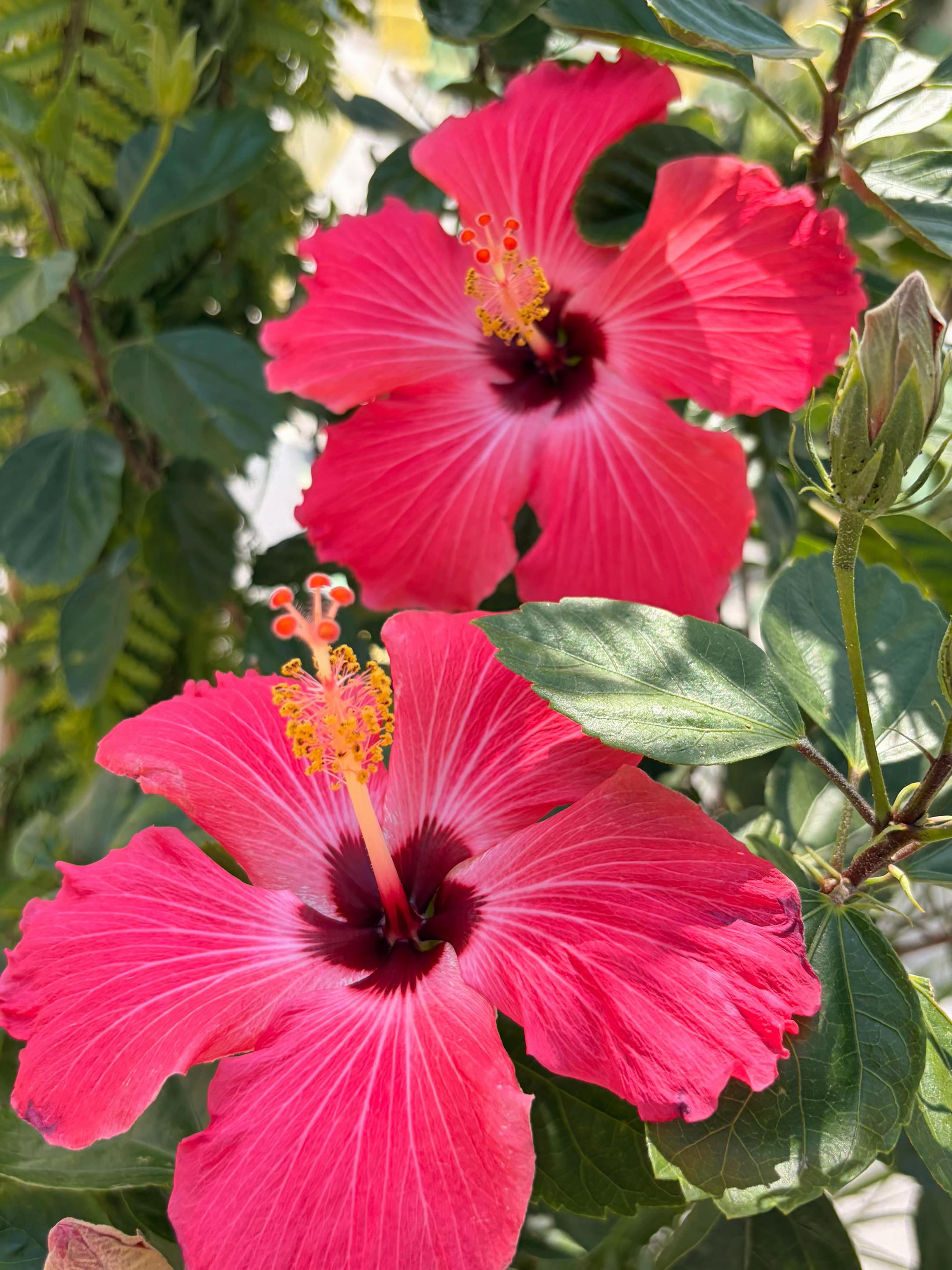 @Em🏄🏻&zwj;♀️🌺🌊🌞