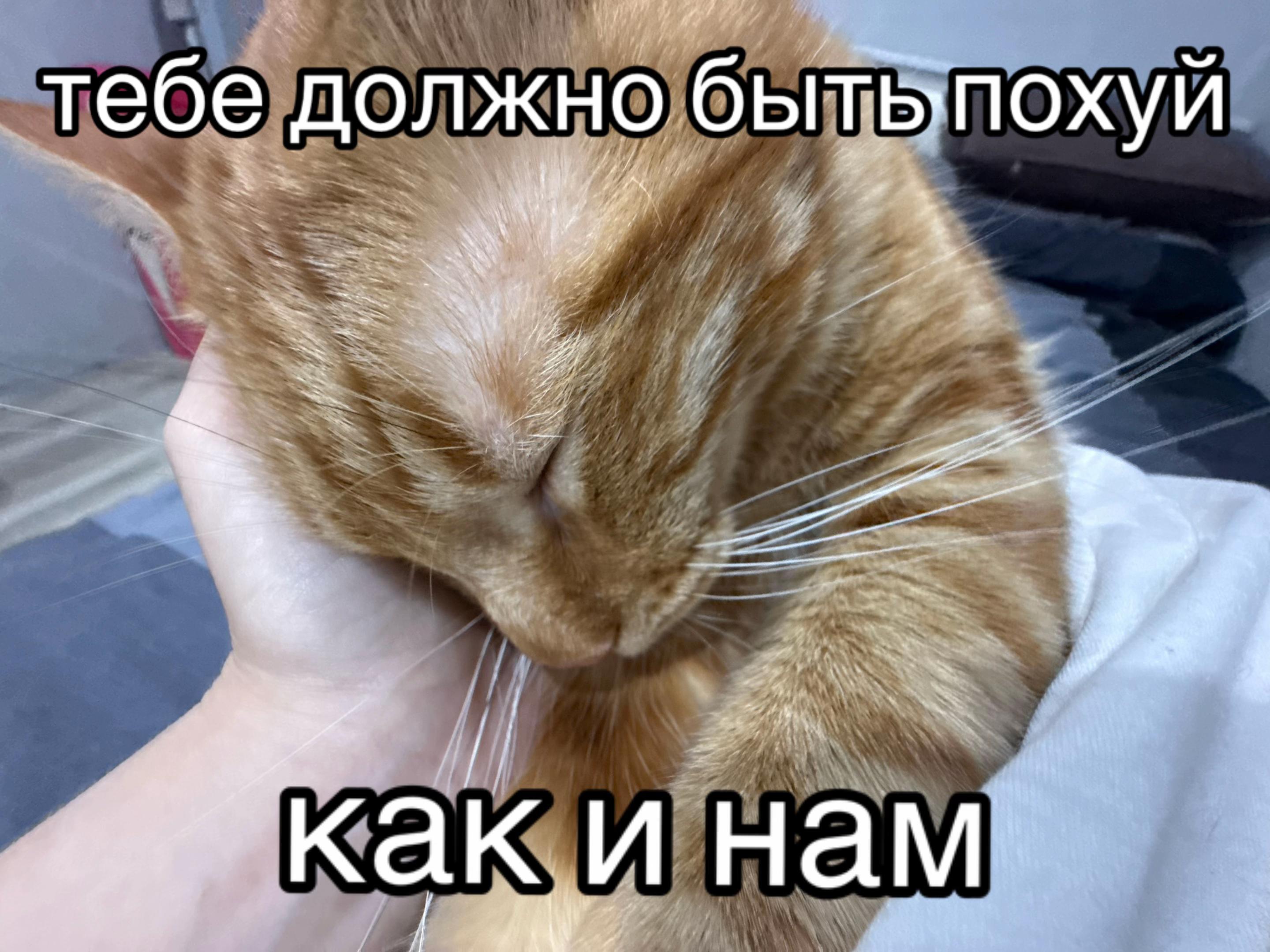 @grechanka