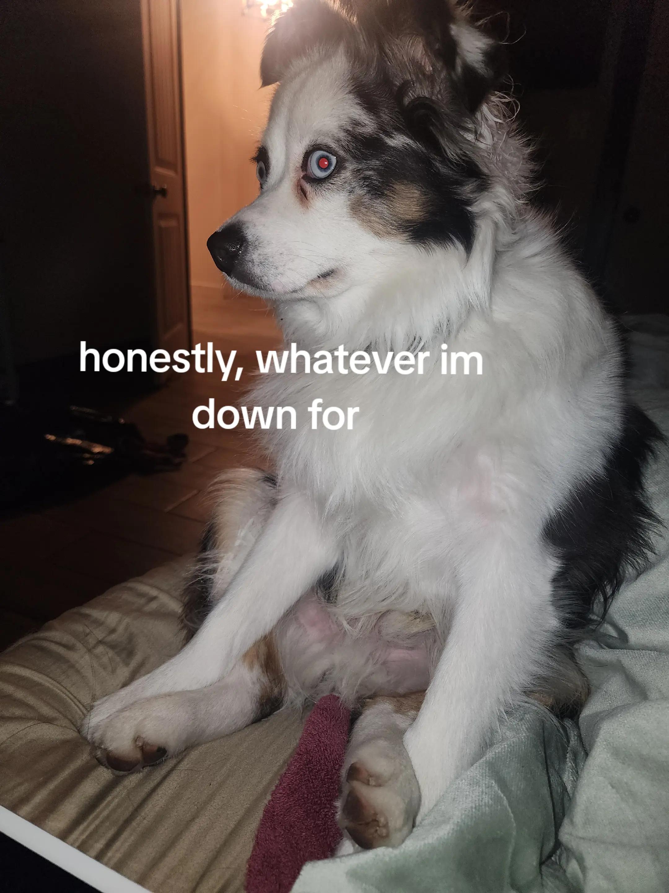 @mrpuddles