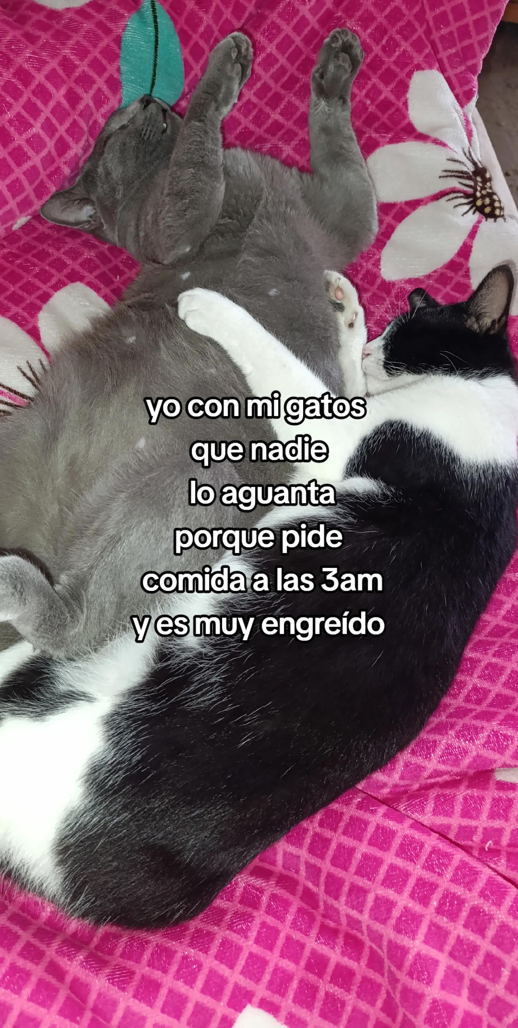 @Nataly Martínez6490