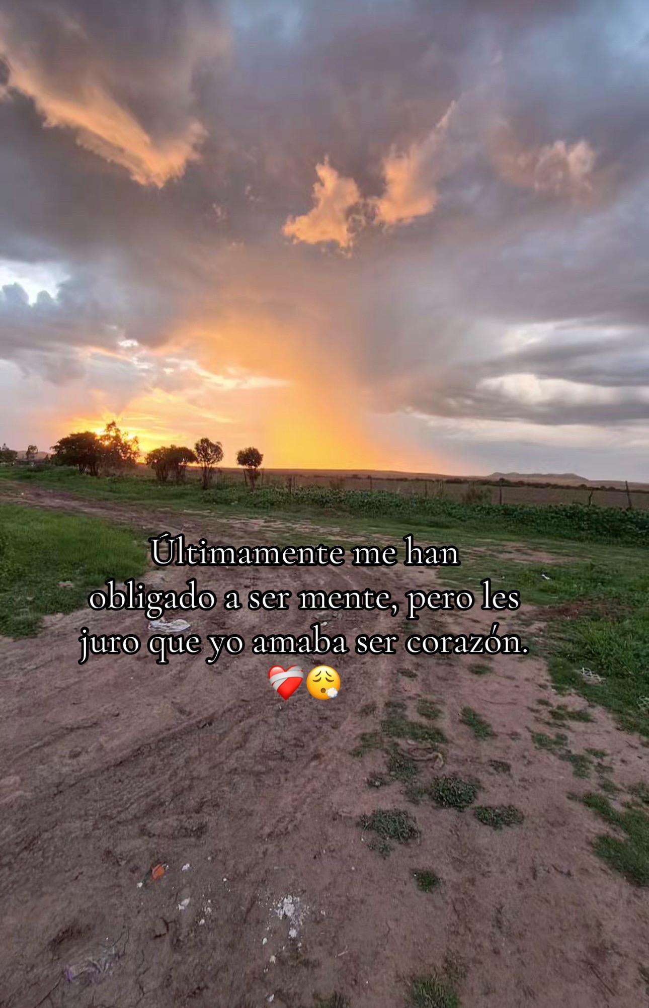 @🥀Priscilla🥀