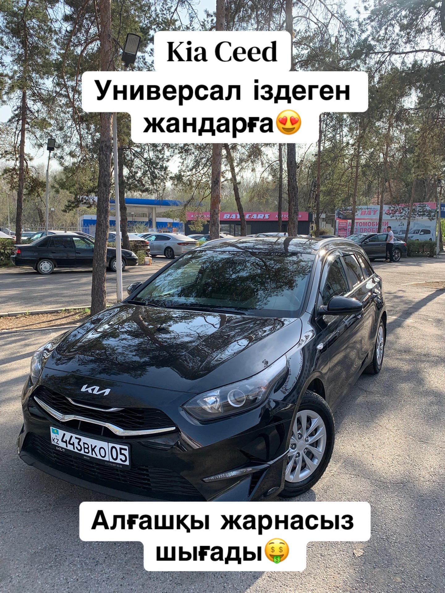 @bay_cars
