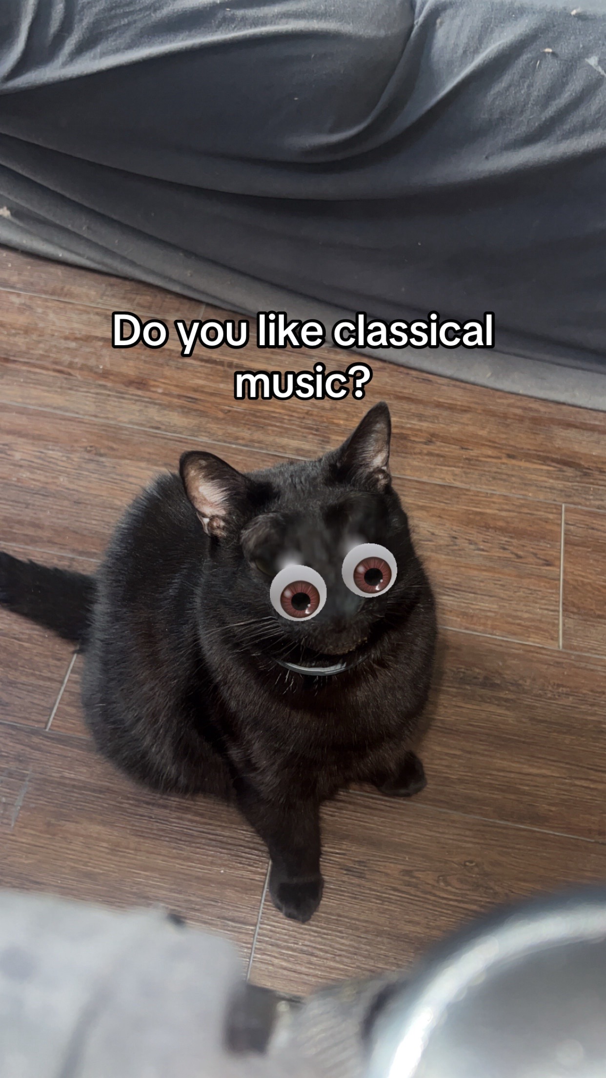 @Ian P. Lewis | Composer 🎵