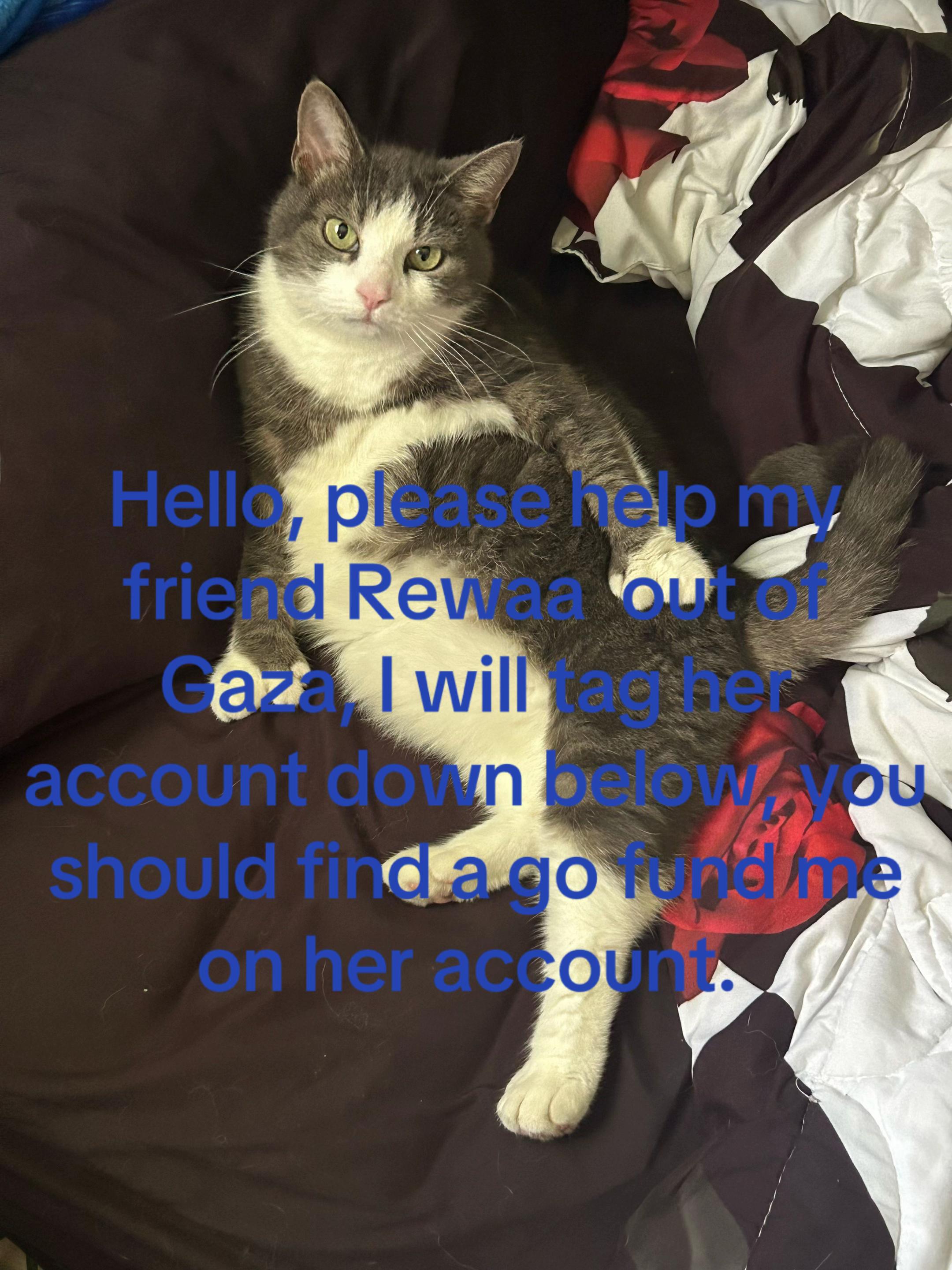 @ThatBluthing