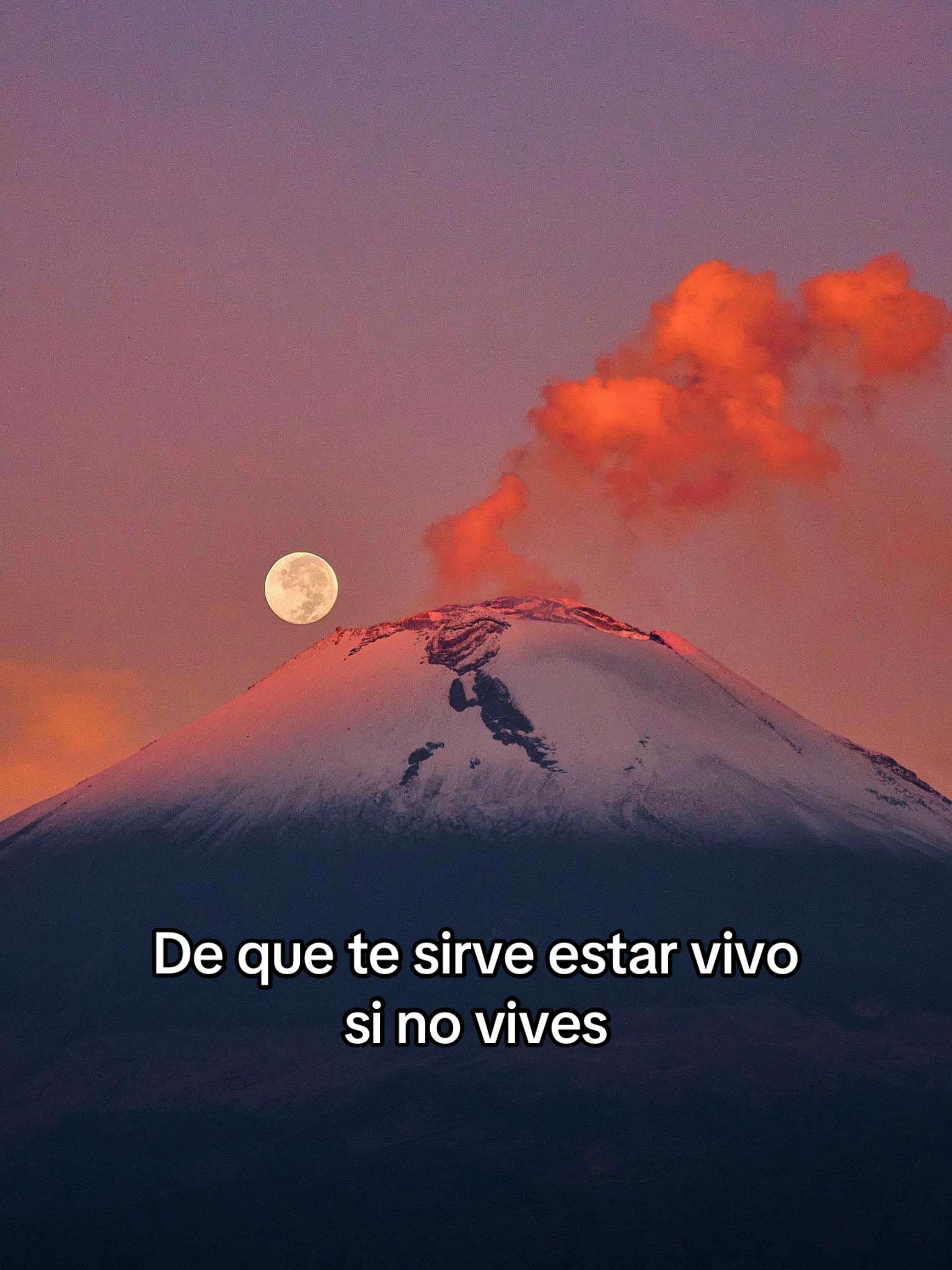 @Ross Dominguez