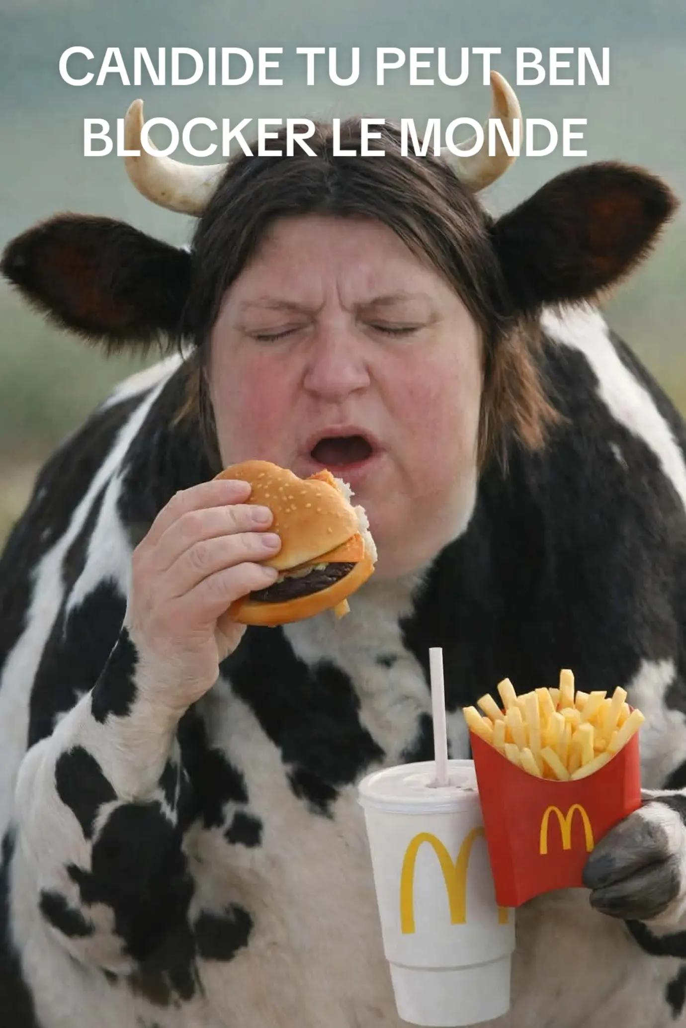 @JOSEPPE SCRAFO ON TOP!!!!