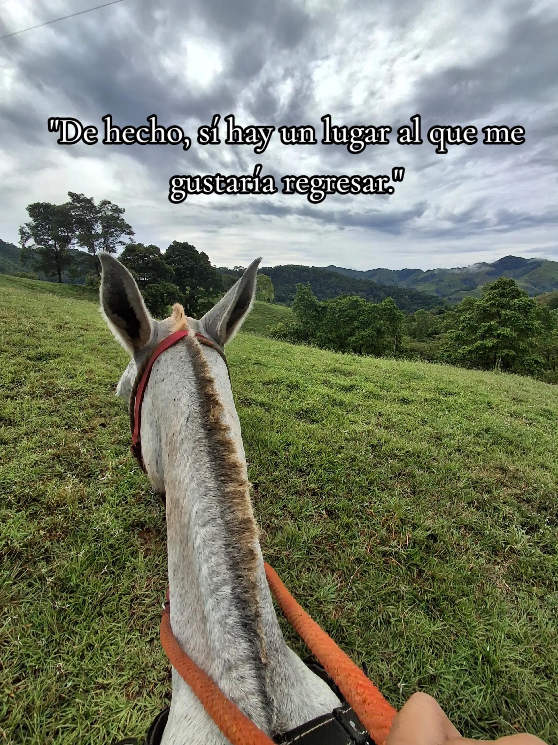 @Arango🌸