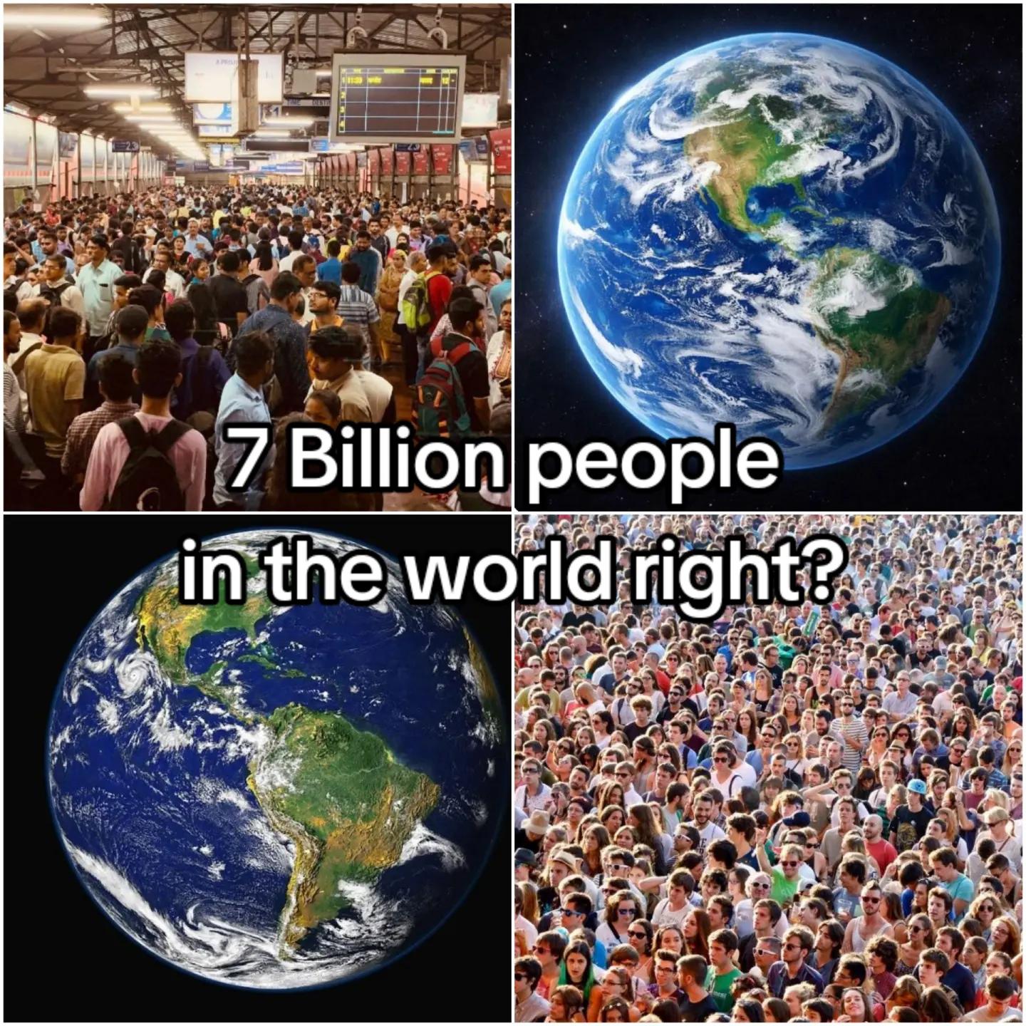 @Nikolai