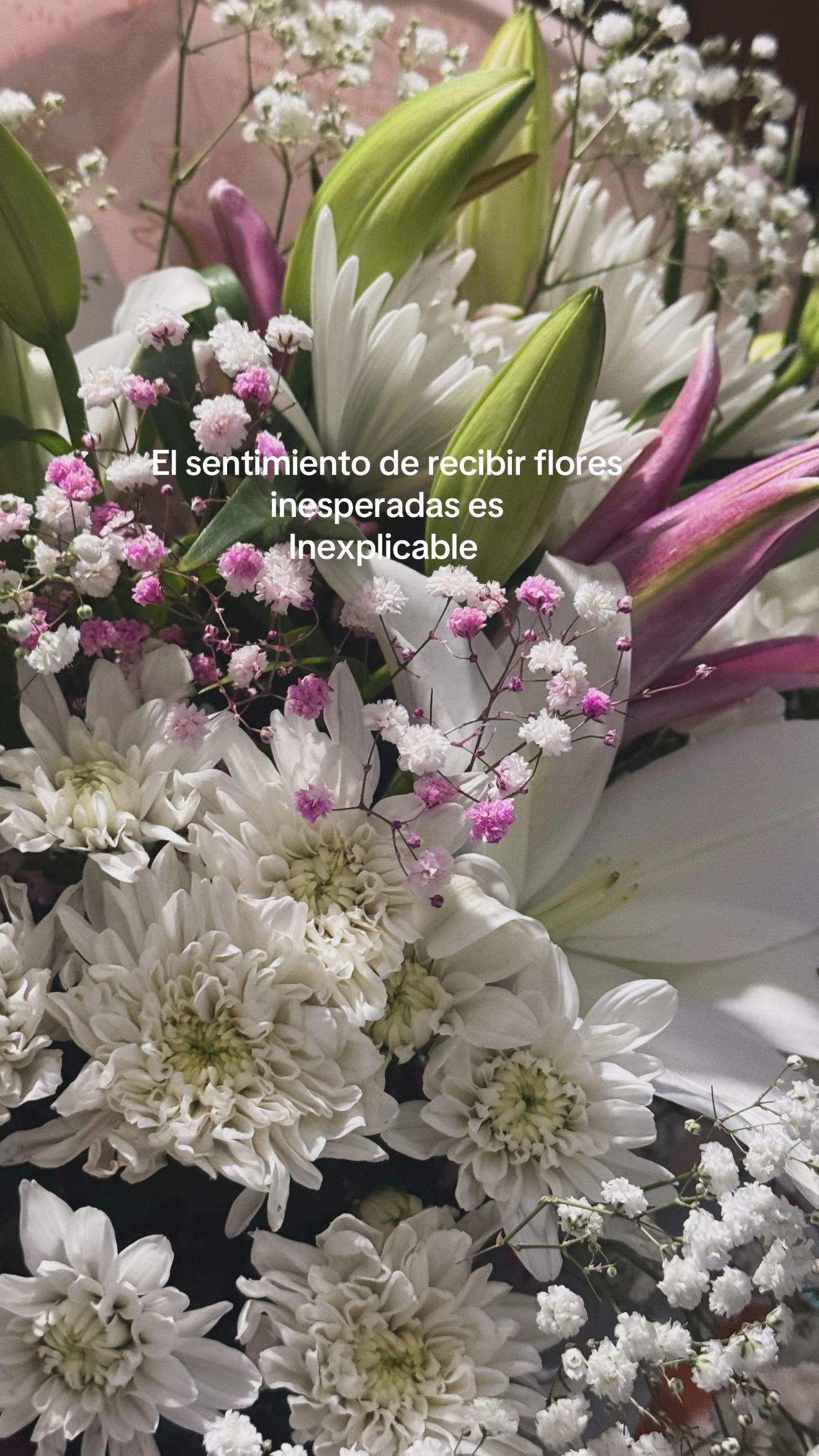 @Johe🍃🤠