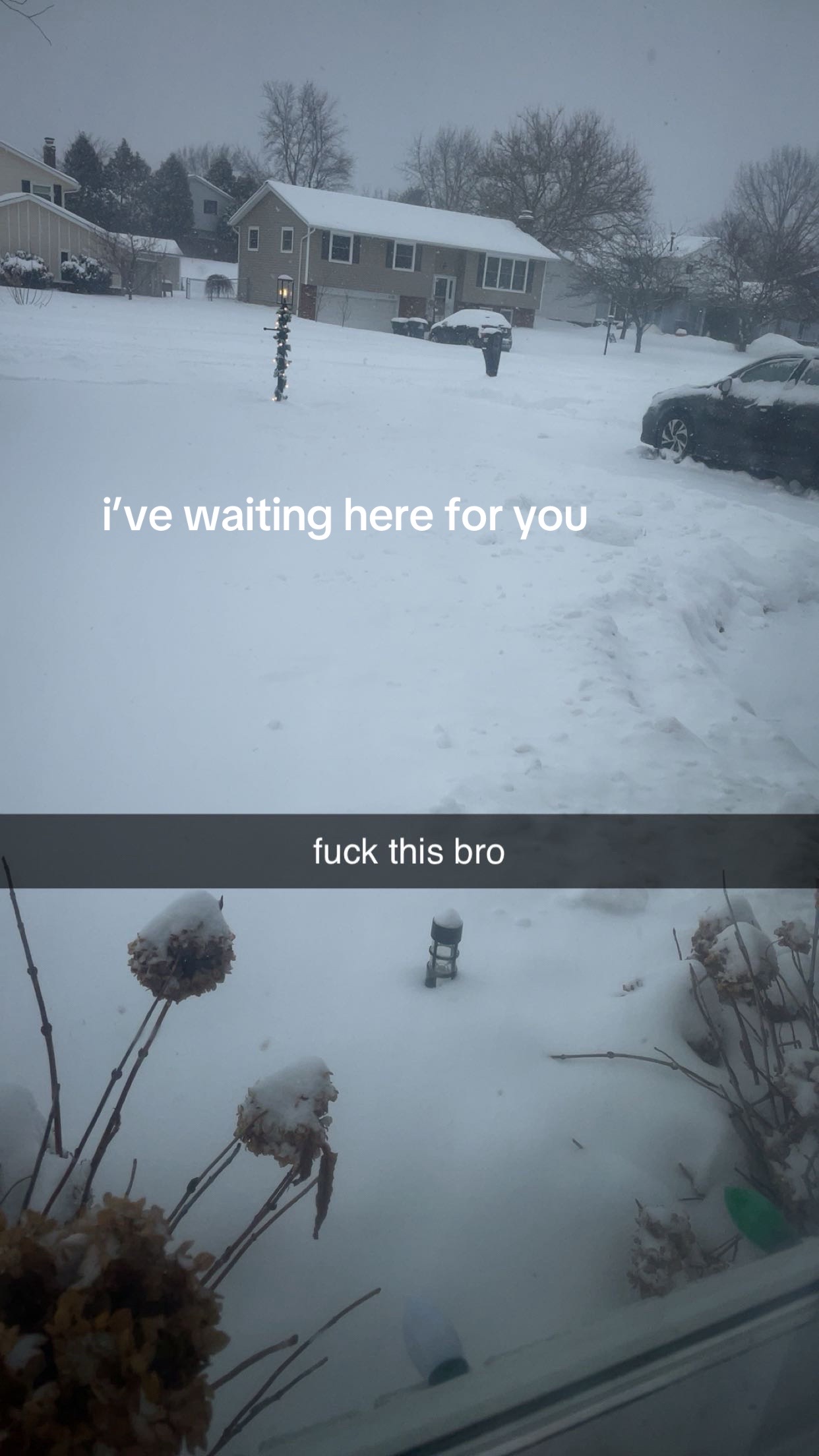 @cateee