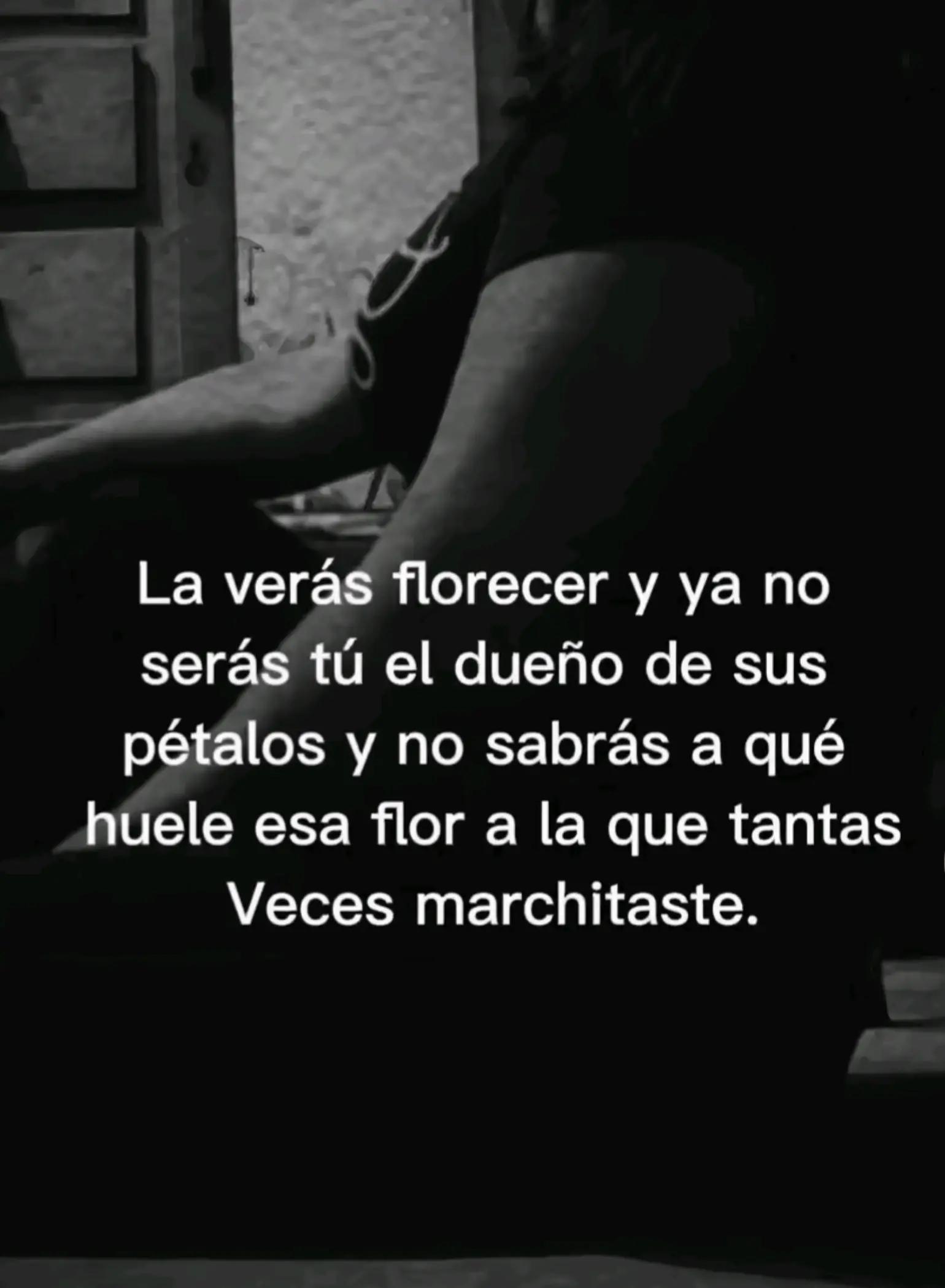 @Pao 🌻🍀