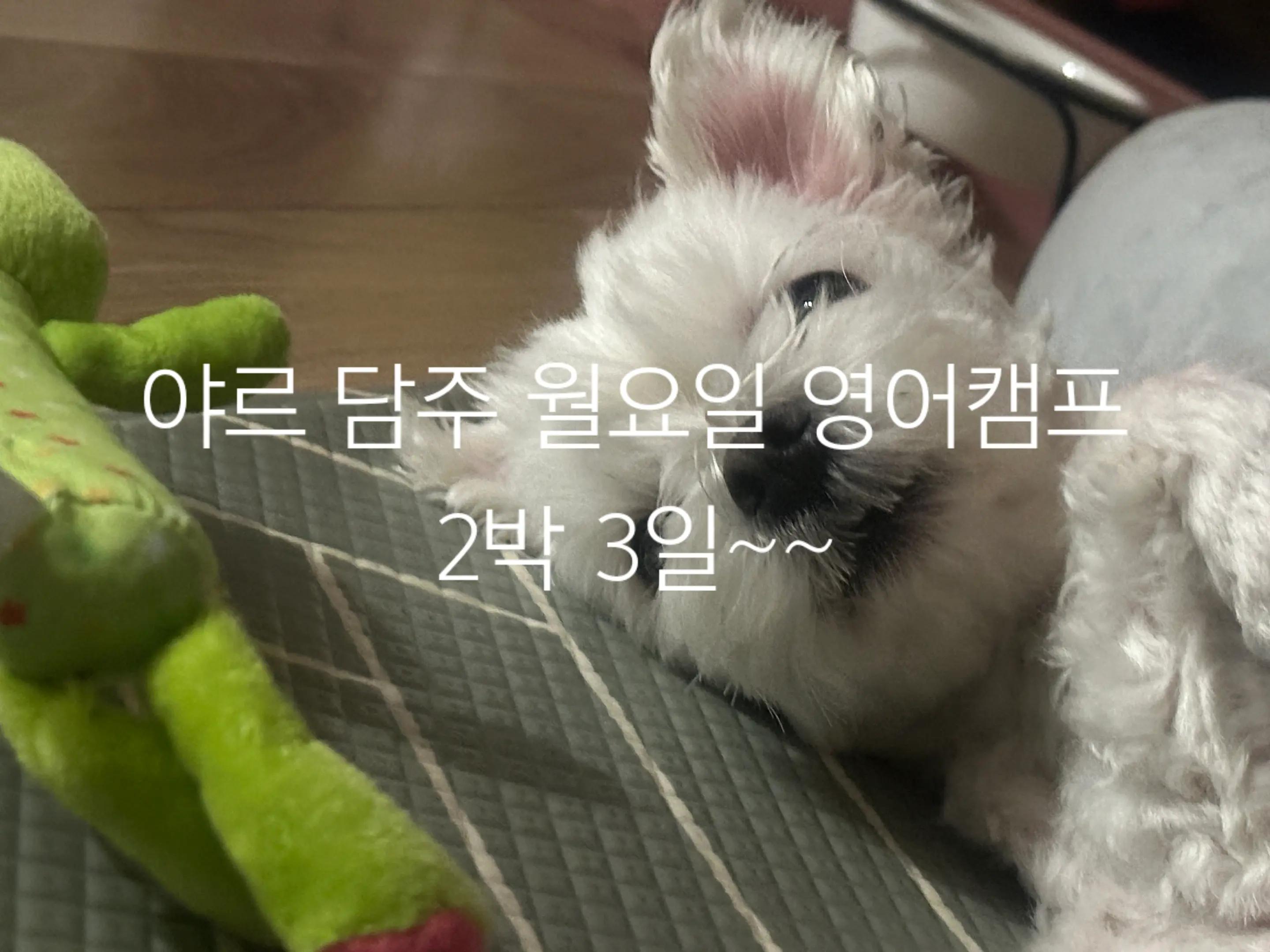 @꿈뜰젤리